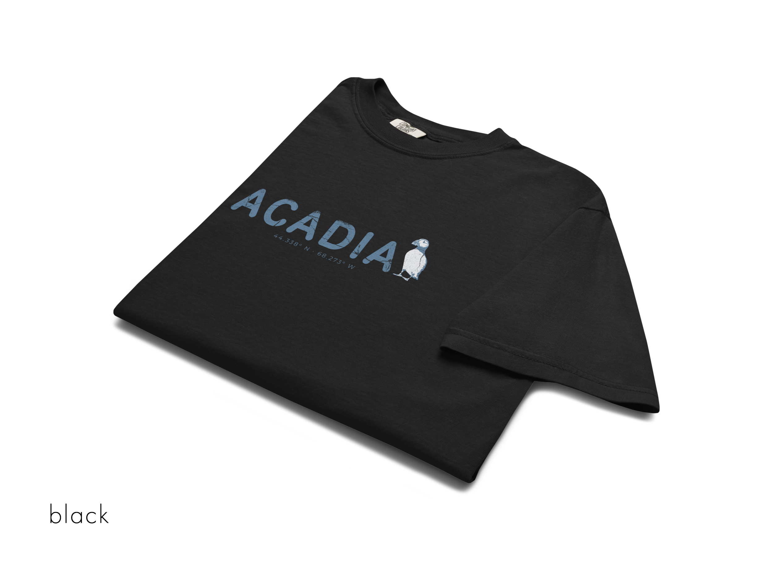 CHIRP COMPANY_ACADIA_PUFFIN_unisex-garment-dyed-heavyweight-t-shirt-black-front-693c3ba41f92f.png