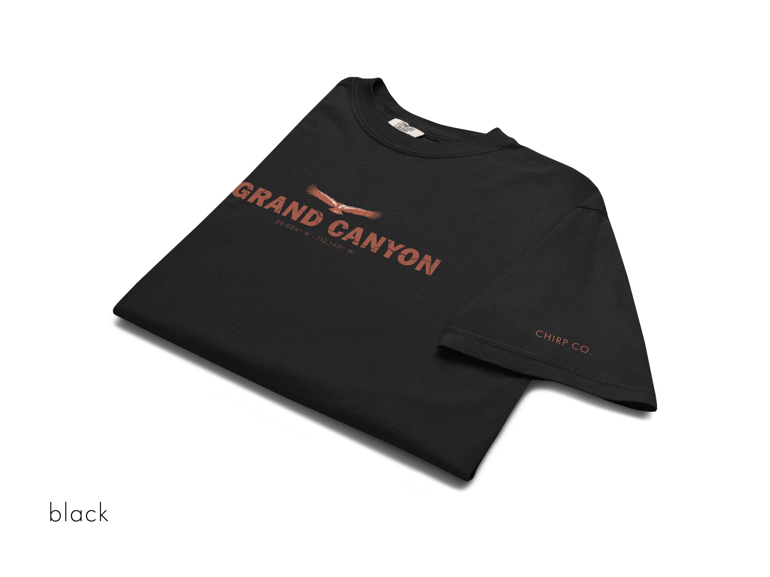 CHIRP COMPANY_GRAND CANYON_CALIFORNIA CONDOR_unisex-garment-dyed-heavyweight-t-shirt-black-front-6945b8ca4a7e8.png