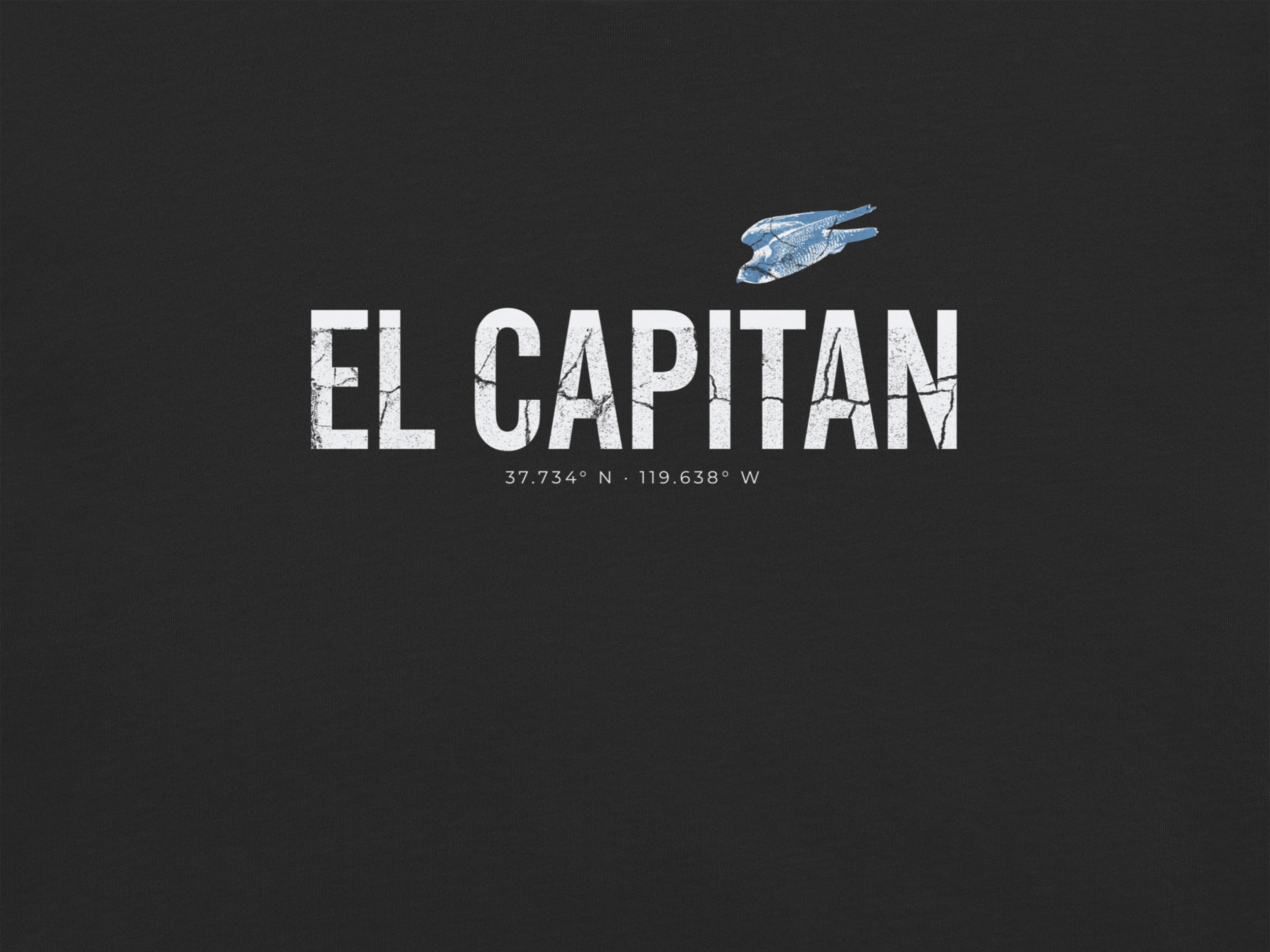 CHIRP COMPANY_EL CAPITAN_PEREGRINE FALCON_unisex-garment-dyed-heavyweight-t-shirt-black-front-699f22b8a6ba5.png
