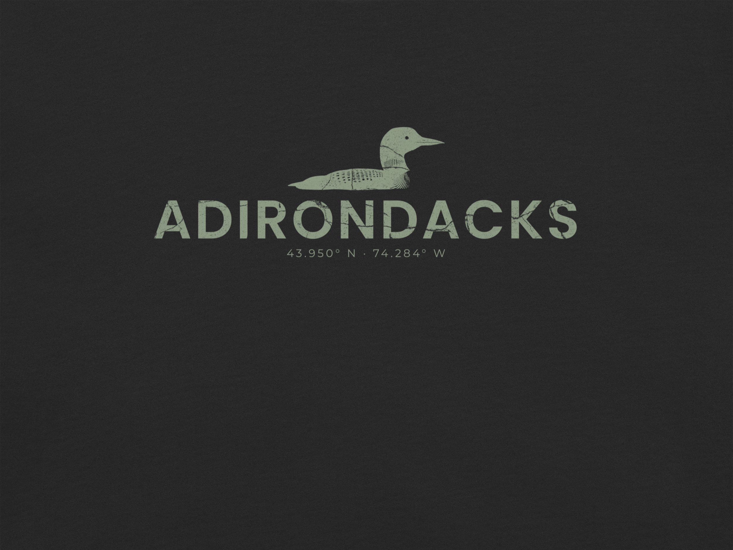 CHIRP COMPANY_ADIRONDACKS_LOON_detail.png
