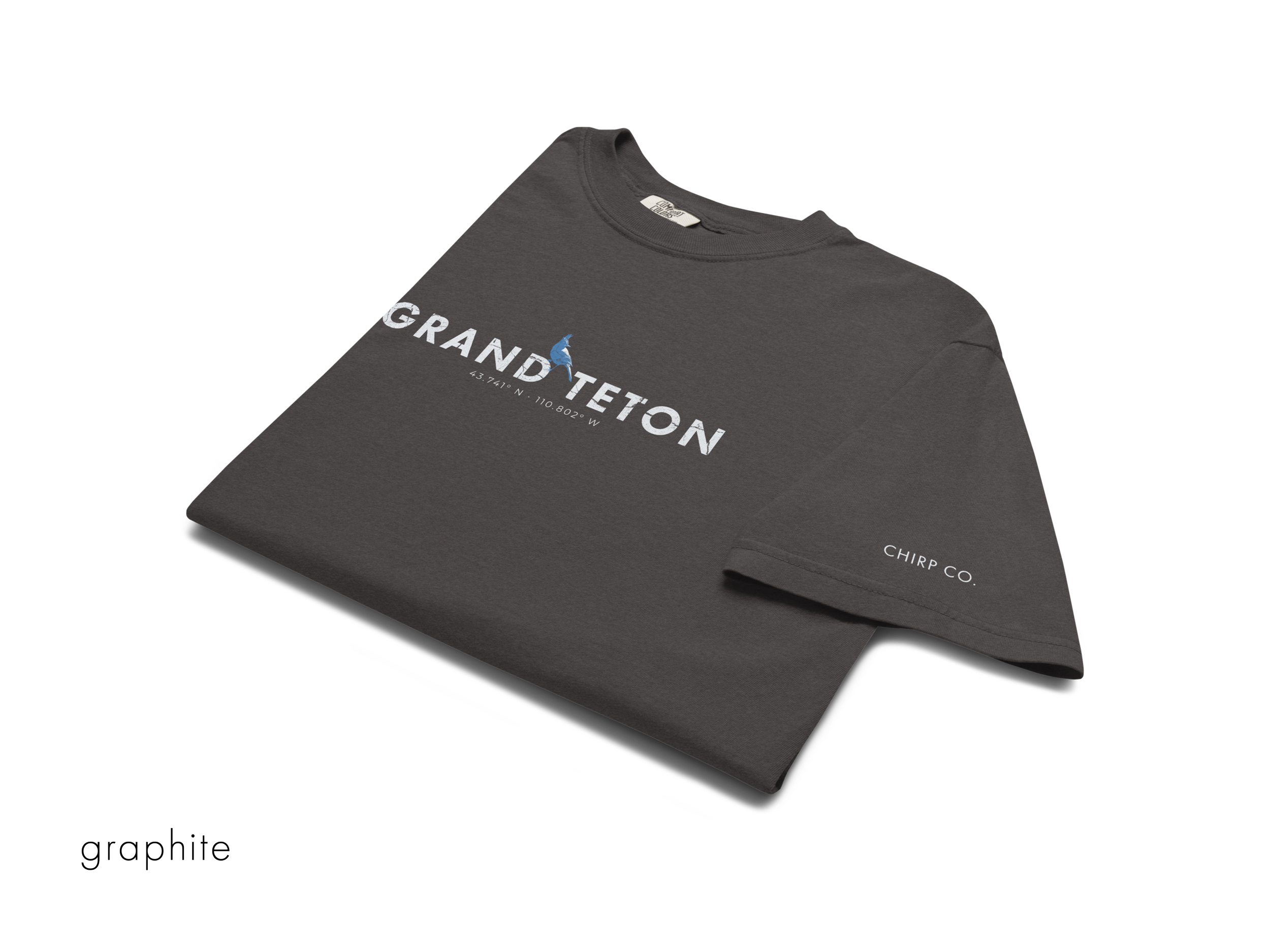 CHIRP COMPANY_GRAND TETON_STELLARS JAY_unisex-garment-dyed-heavyweight-t-shirt-graphite-front-69421468a061e.png