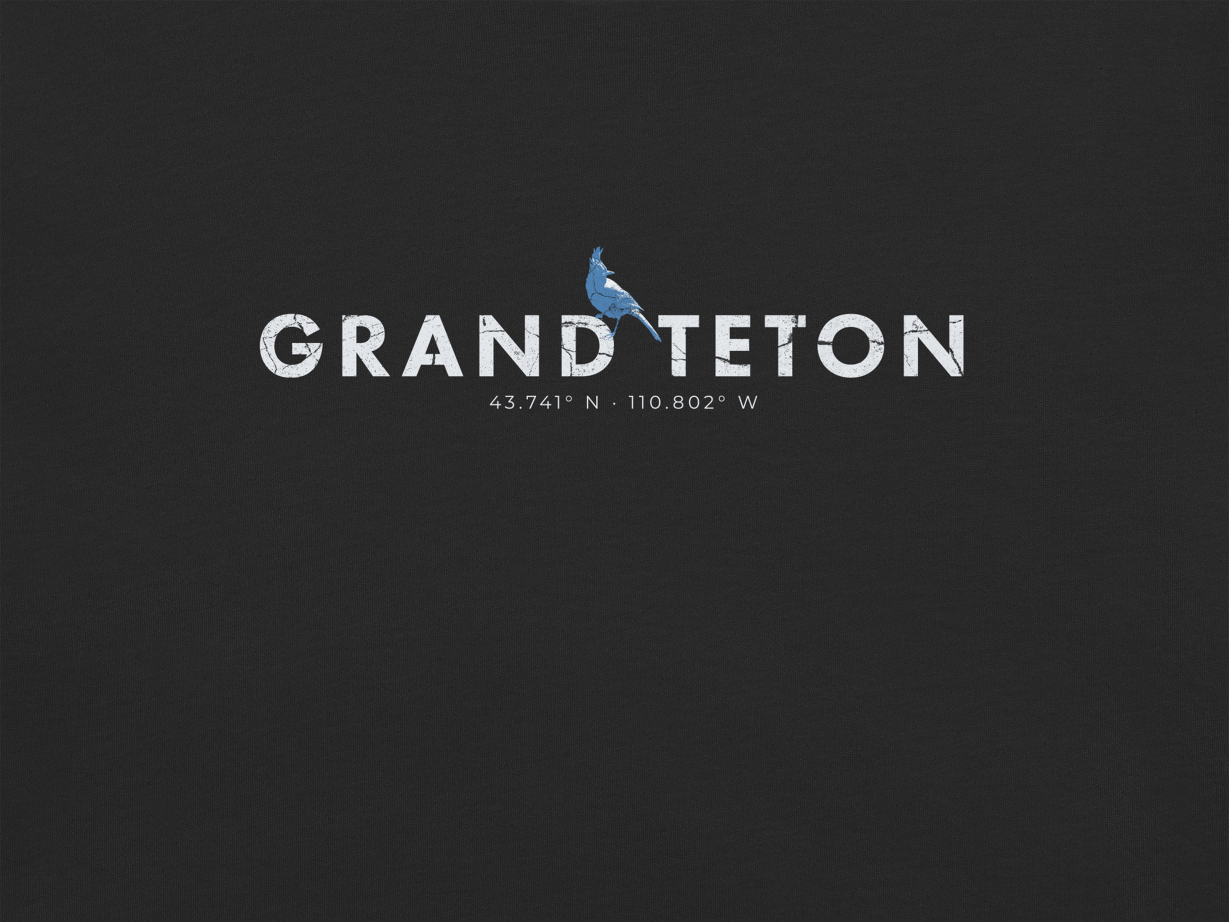 CHIRP COMPANY_GRAND TETON_STELLARS JAY_detail.png