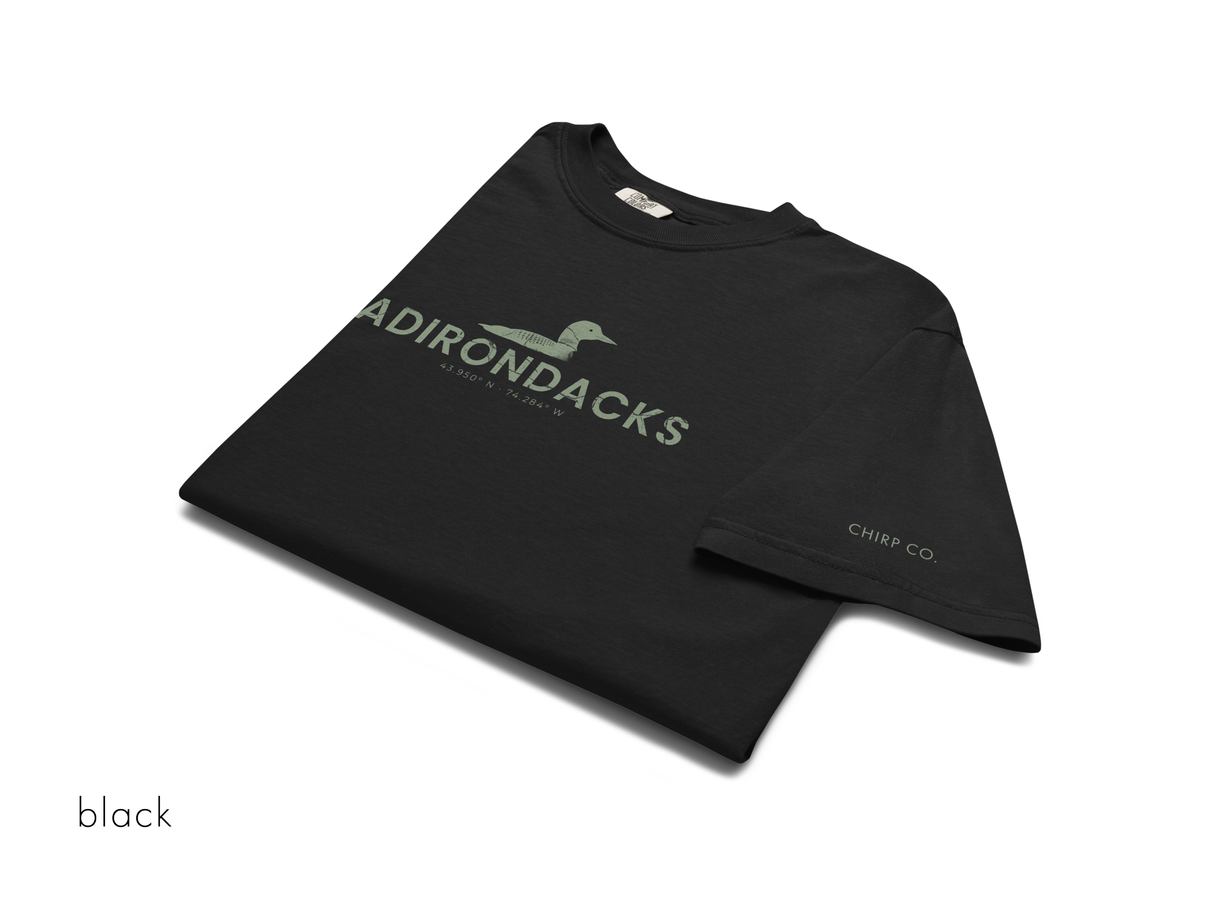 CHIRP COMPANY_ADIRONDACKS_LOON_unisex-garment-dyed-heavyweight-t-shirt-black-front-693b27cb94fd5.png