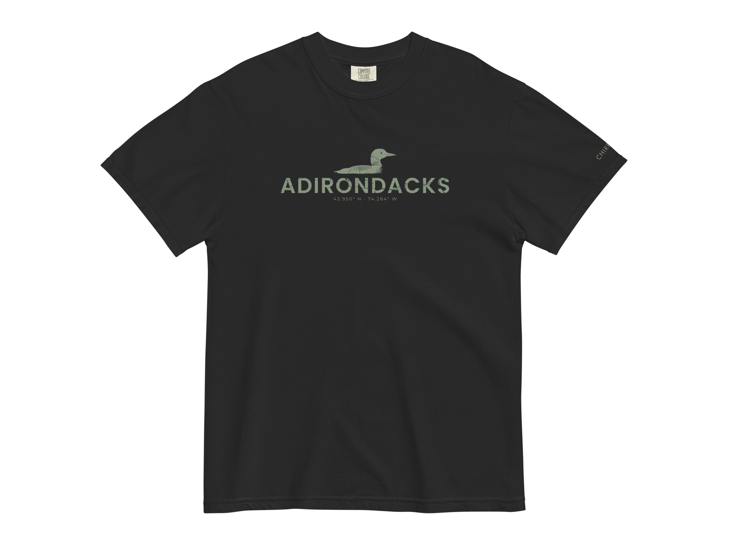 CHIRP COMPANY_ADIRONDACKS_LOON_unisex-garment-dyed-heavyweight-t-shirt-black-front-693b27cb9466e.png