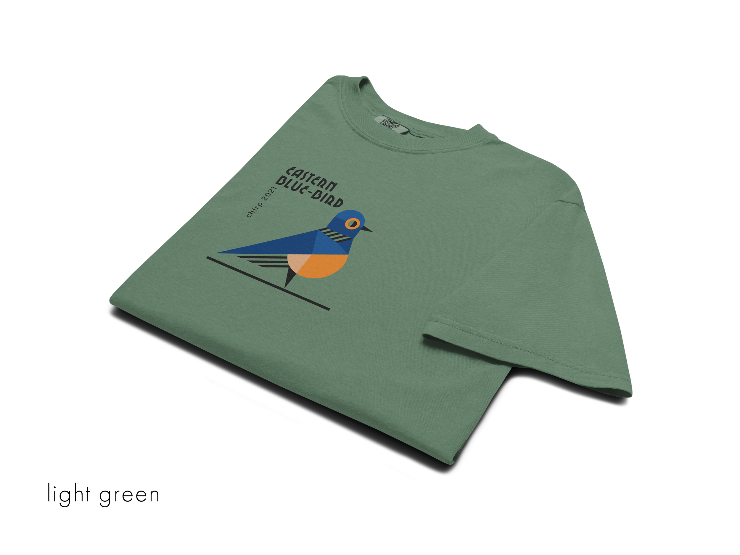 chirp company_unisex-garment-dyed-heavyweight-t-shirt-light-green-front-691d24a0573c7.png