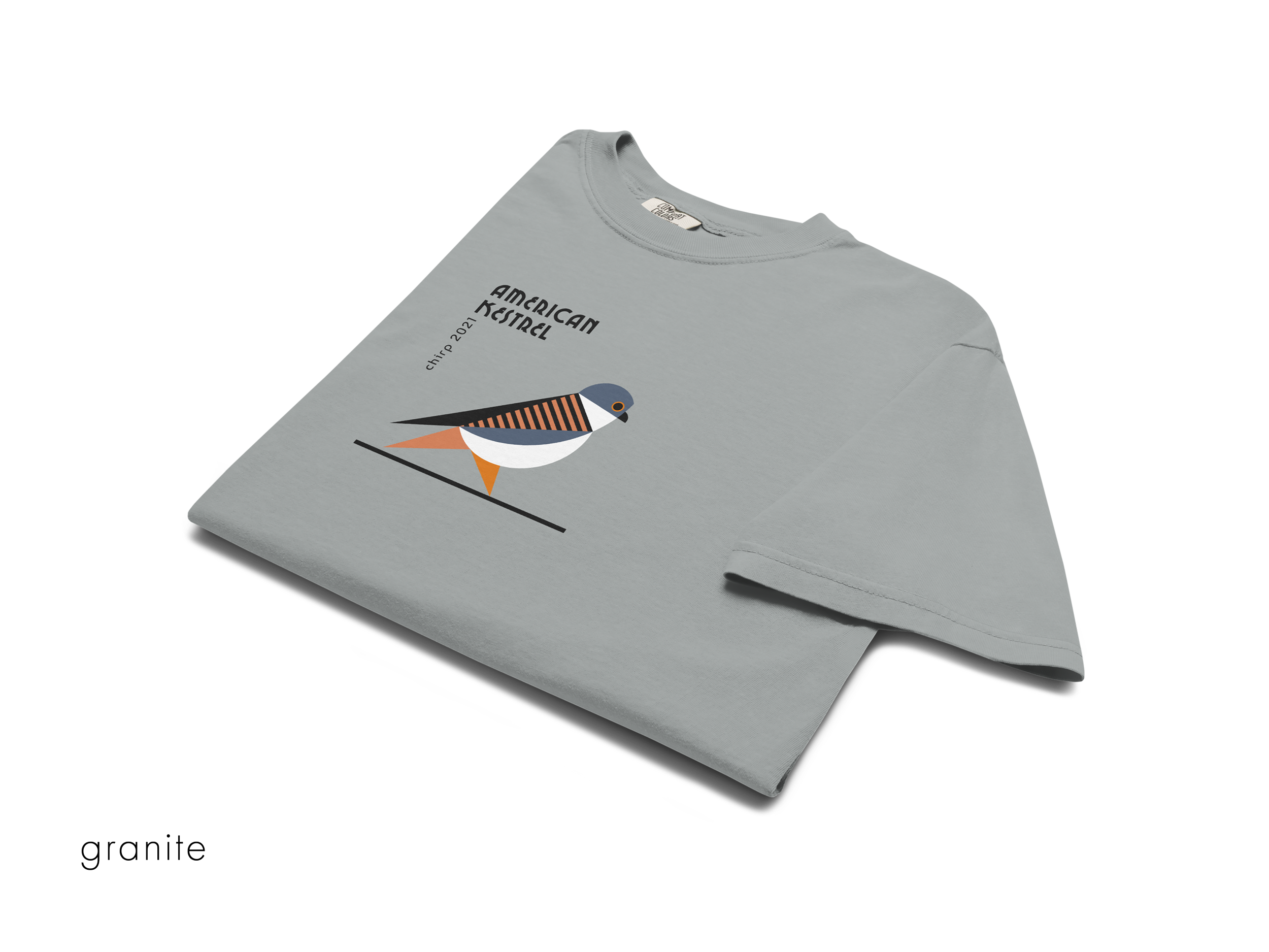 chirp company_unisex-garment-dyed-heavyweight-t-shirt-granite-front-691d29e1e25bc.png