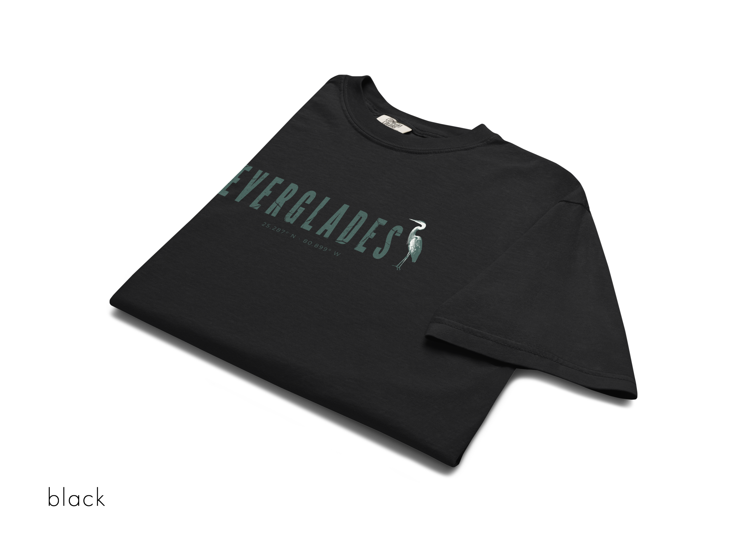 CHIRP COMPANY_BLUE HERON_EVERGLADES_.png