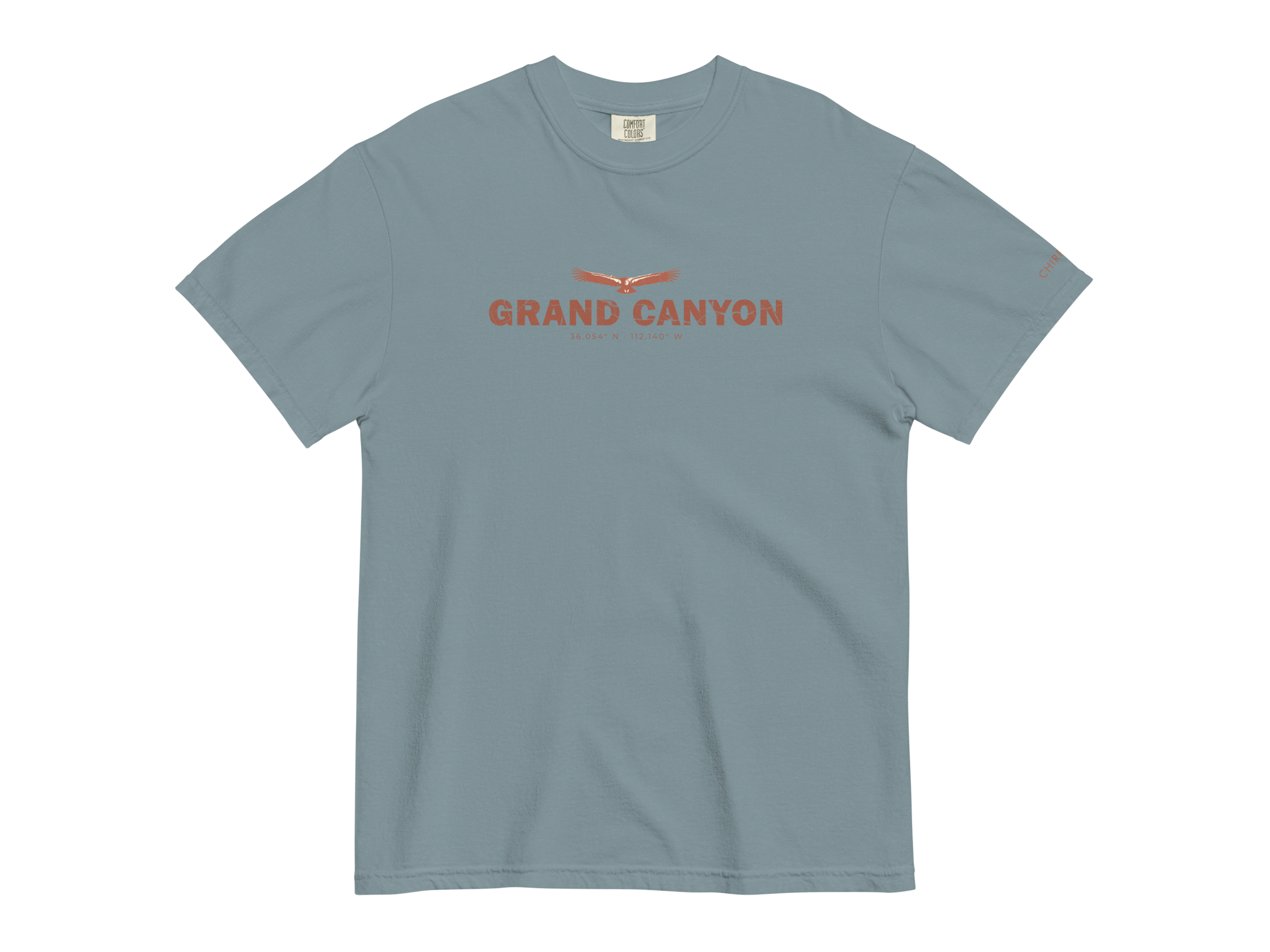 CHIRP COMPANY_GRAND CANYON_CALIFORNIA CONDOR_unisex-garment-dyed-heavyweight-t-shirt-ice-blue-front-6945b8ca4a270.png