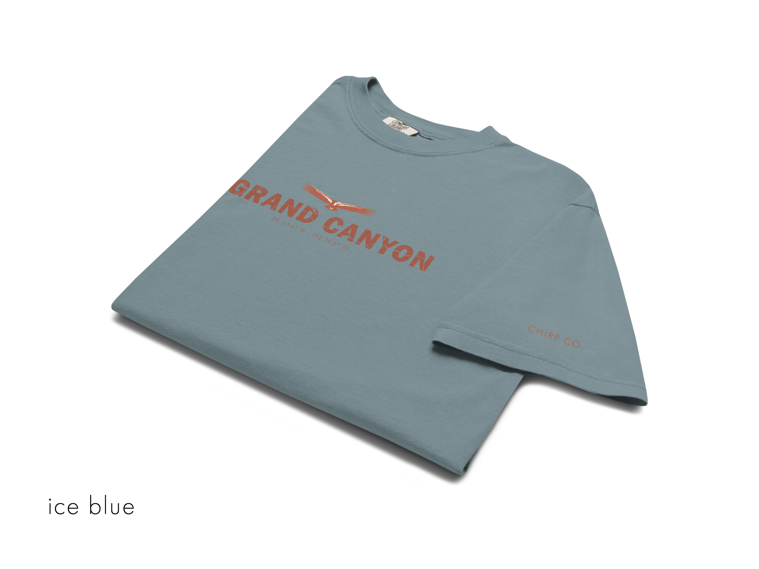 CHIRP COMPANY_GRAND CANYON_CALIFORNIA CONDOR_unisex-garment-dyed-heavyweight-t-shirt-ice-blue-front-6945b8ca4a922.png