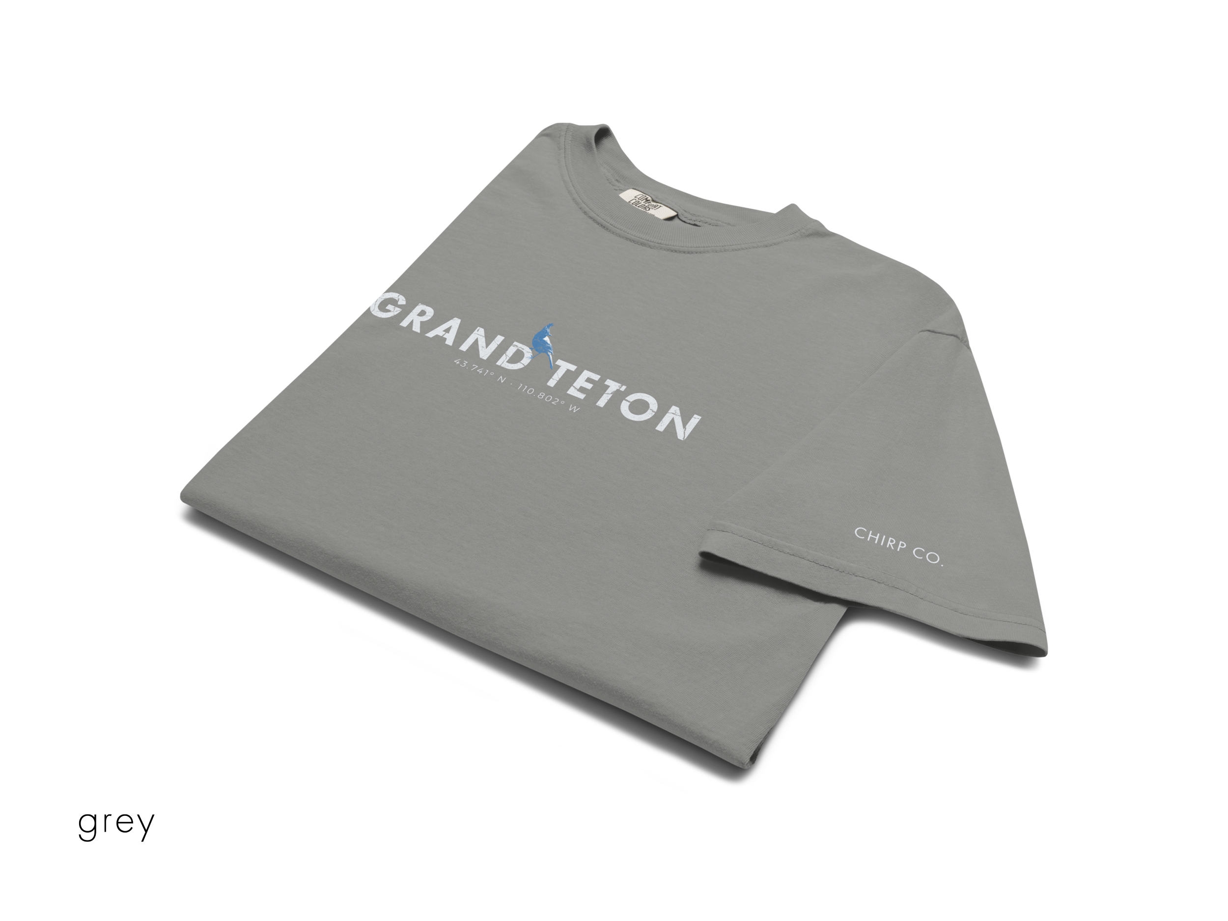 CHIRP COMPANY_GRAND TETON_STELLARS JAY_unisex-garment-dyed-heavyweight-t-shirt-grey-front-69421468a06b1.png