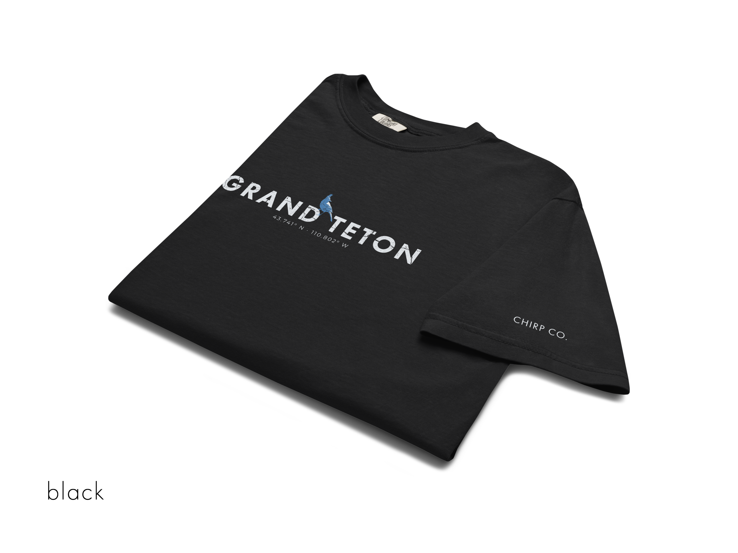 CHIRP COMPANY_GRAND TETON_STELLARS JAY_unisex-garment-dyed-heavyweight-t-shirt-black-front-69421468a0550.png