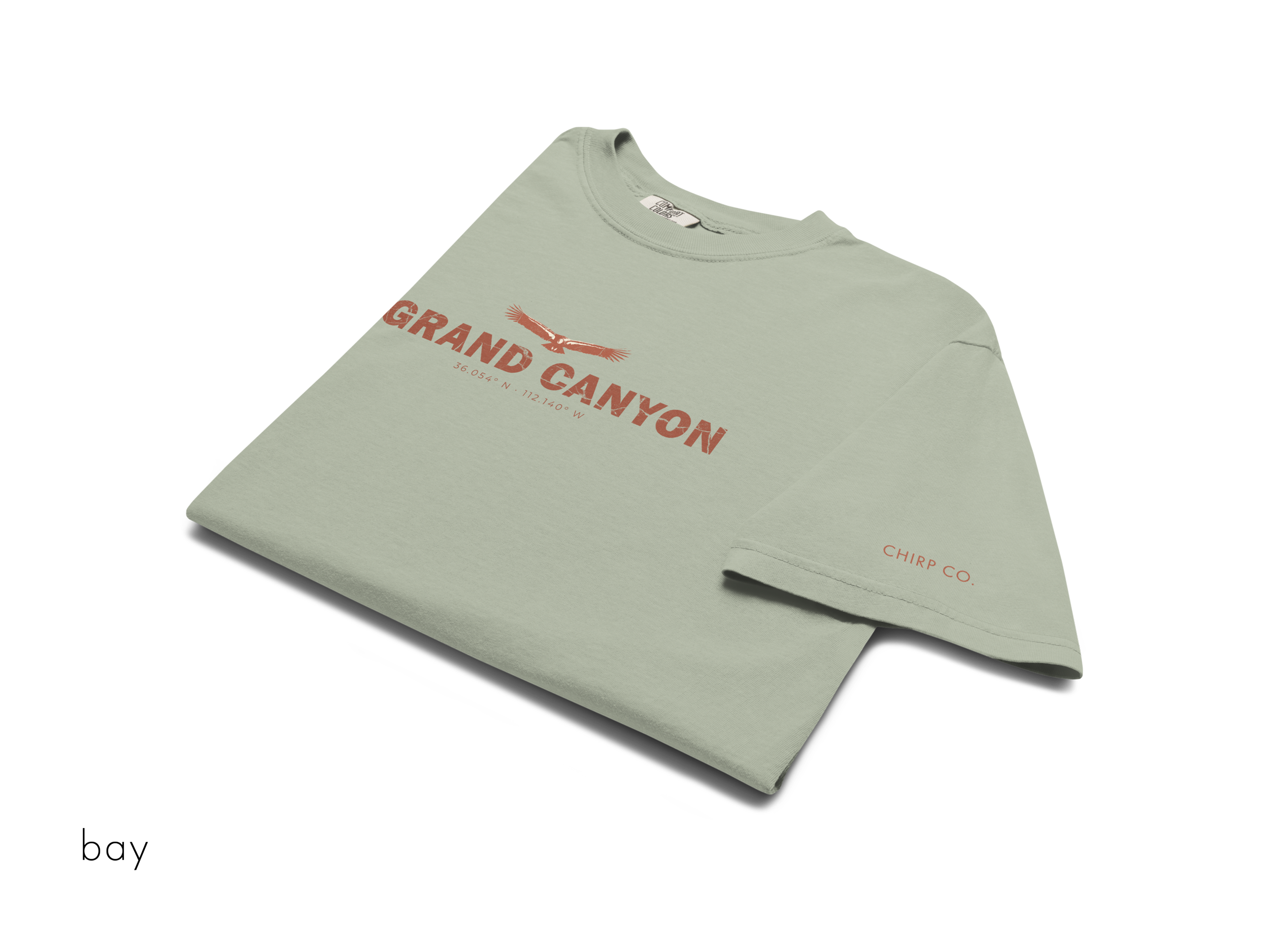 CHIRP COMPANY_GRAND CANYON_CALIFORNIA CONDOR_unisex-garment-dyed-heavyweight-t-shirt-bay-front-6945b8ca4a7e8.png