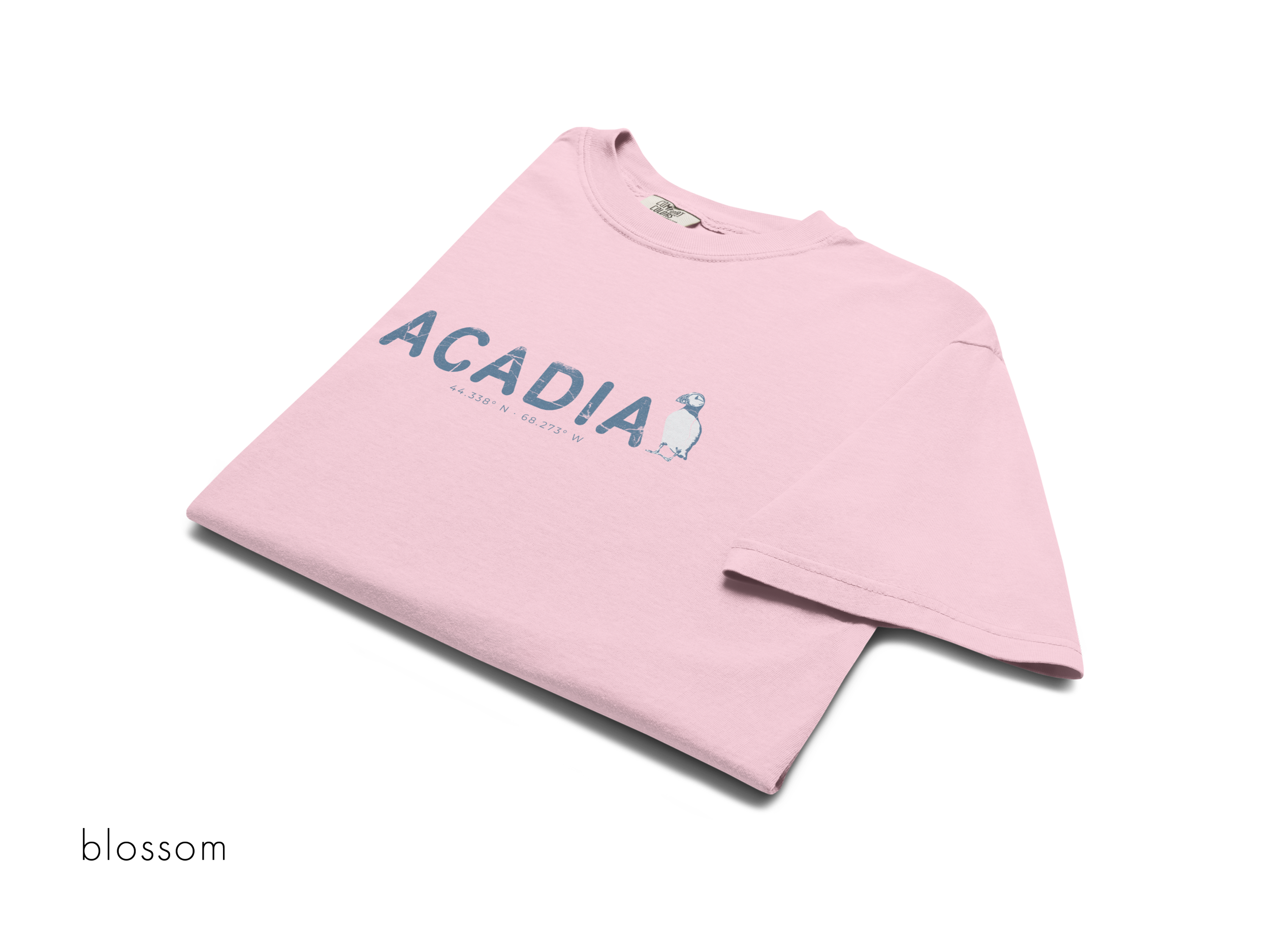 CHIRP COMPANY_ACADIA_PUFFIN_unisex-garment-dyed-heavyweight-t-shirt-blossom-front-693c3ba41fa2e.png