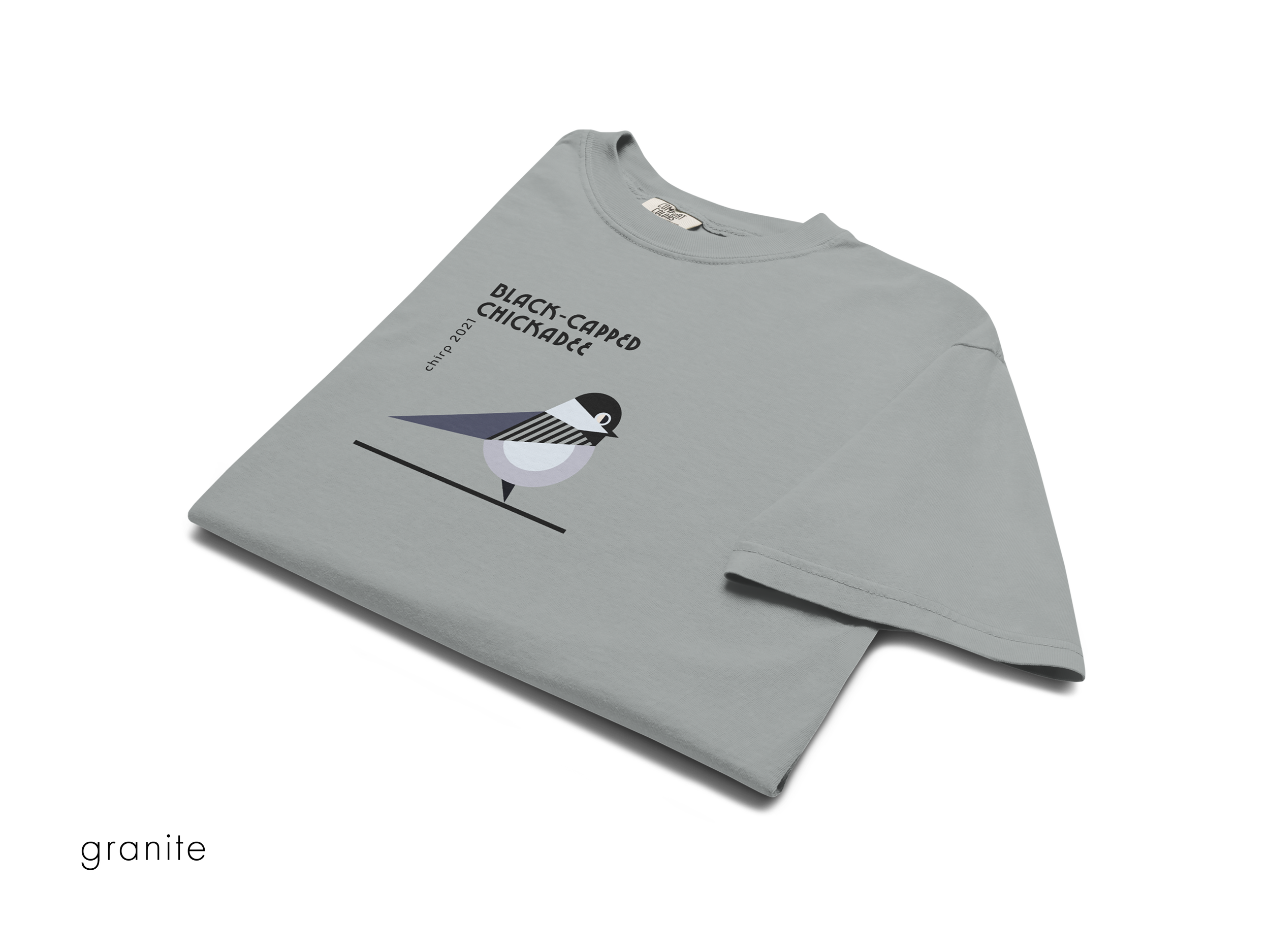 chirp company_unisex-garment-dyed-heavyweight-t-shirt-granite-front-691d272a37fa0.png