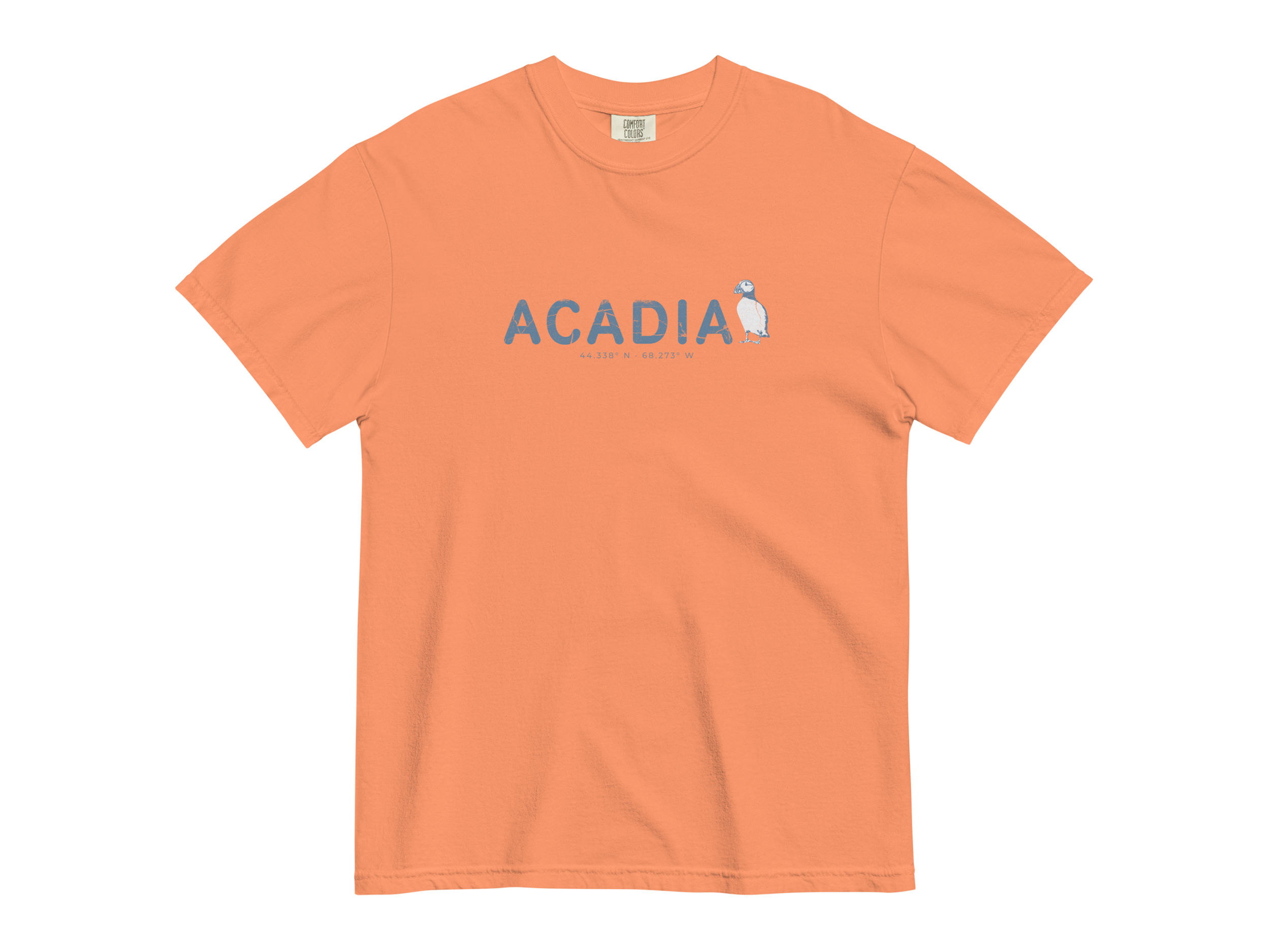 CHIRP COMPANY_ACADIA_PUFFIN_unisex-garment-dyed-heavyweight-t-shirt-terracotta-front-693c3ba41f46e.png