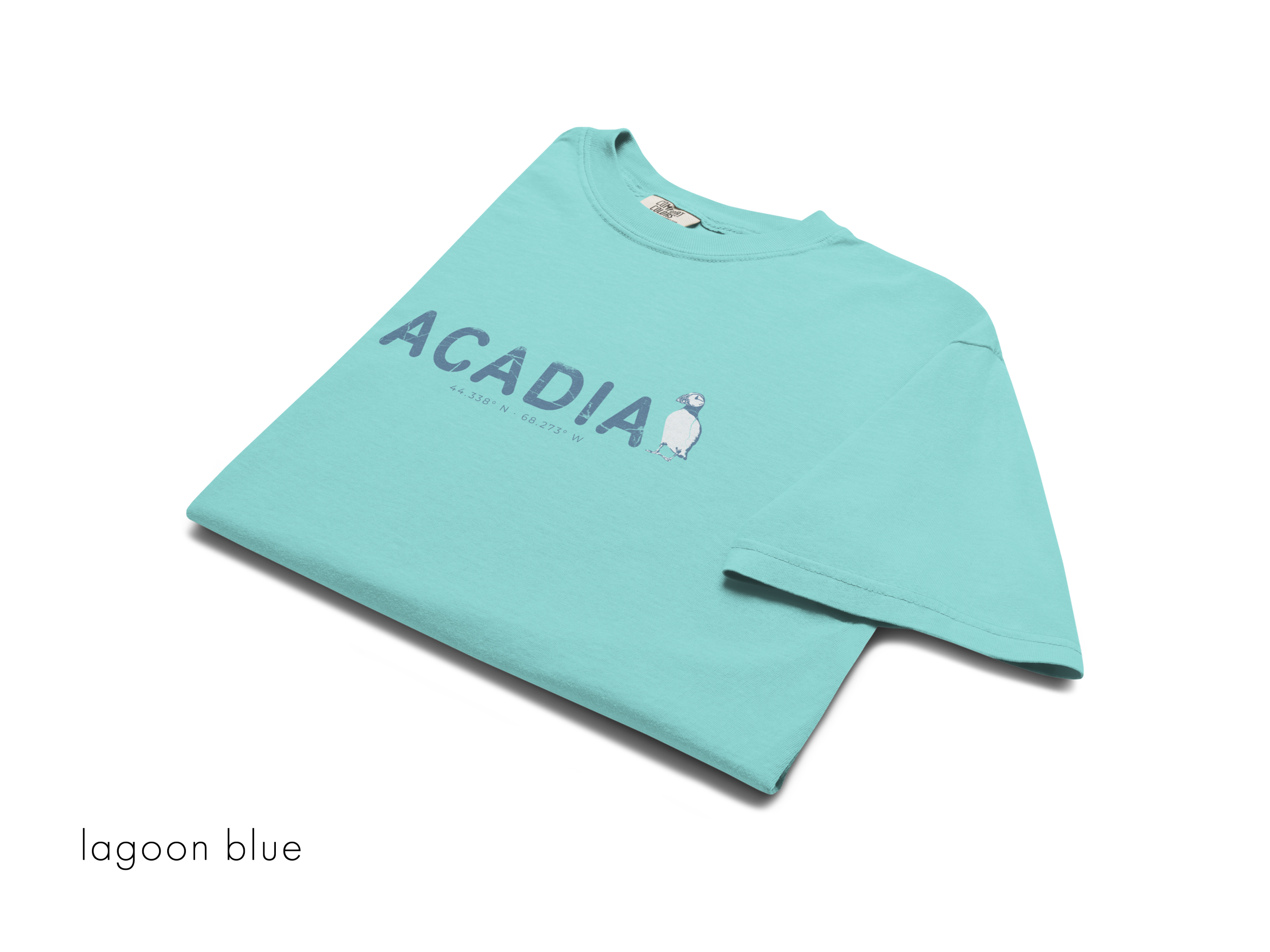 CHIRP COMPANY_ACADIA_PUFFIN_unisex-garment-dyed-heavyweight-t-shirt-lagoon-blue-front-693c3ba41fab4.png