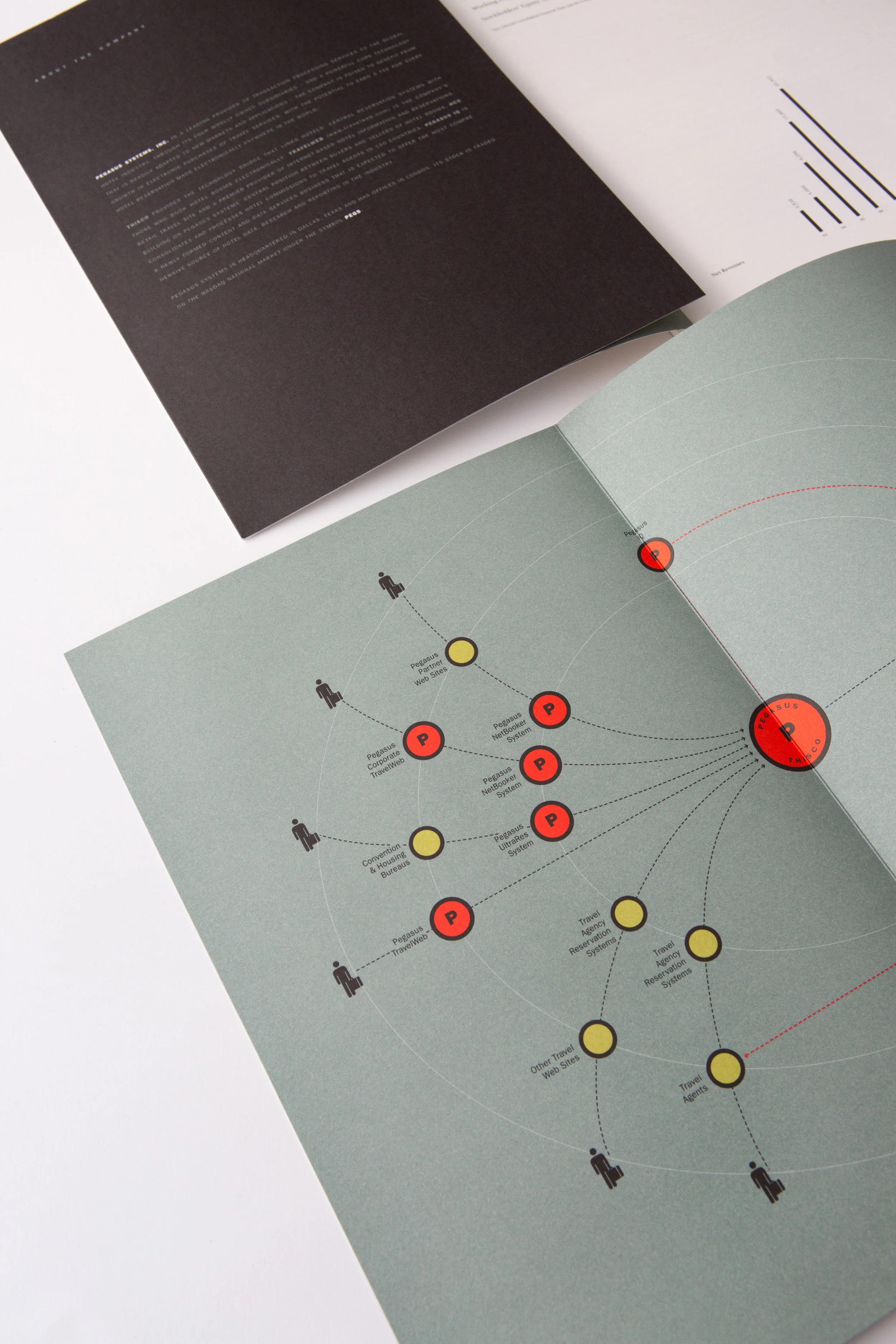 Pegasus Systems Inc. Collateral Design