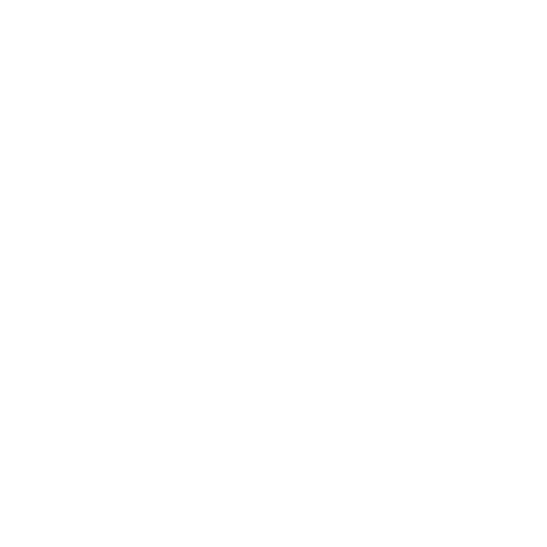 Soul Has No Tempo