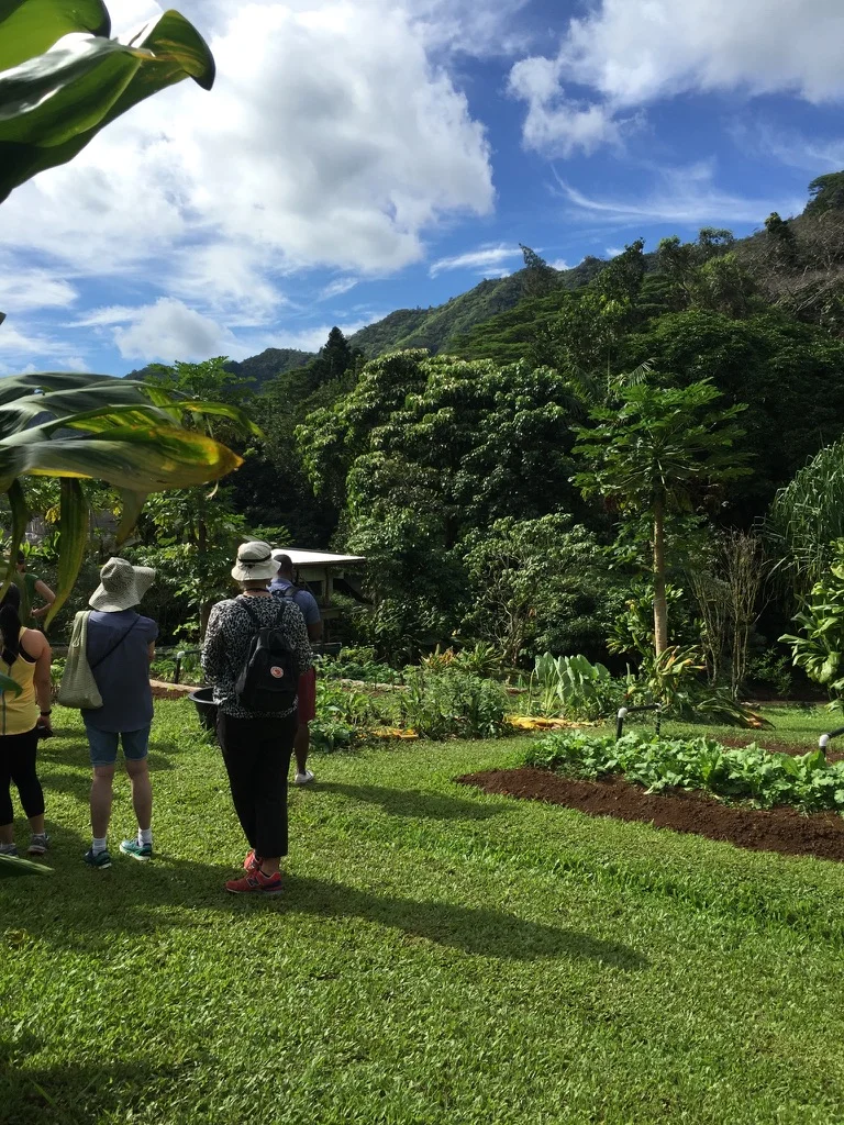 O'ahu Journey: How the Humanities Heal