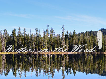 Sierra Nevada University Tahoe–Writers in the Woods Literary Speaker Series