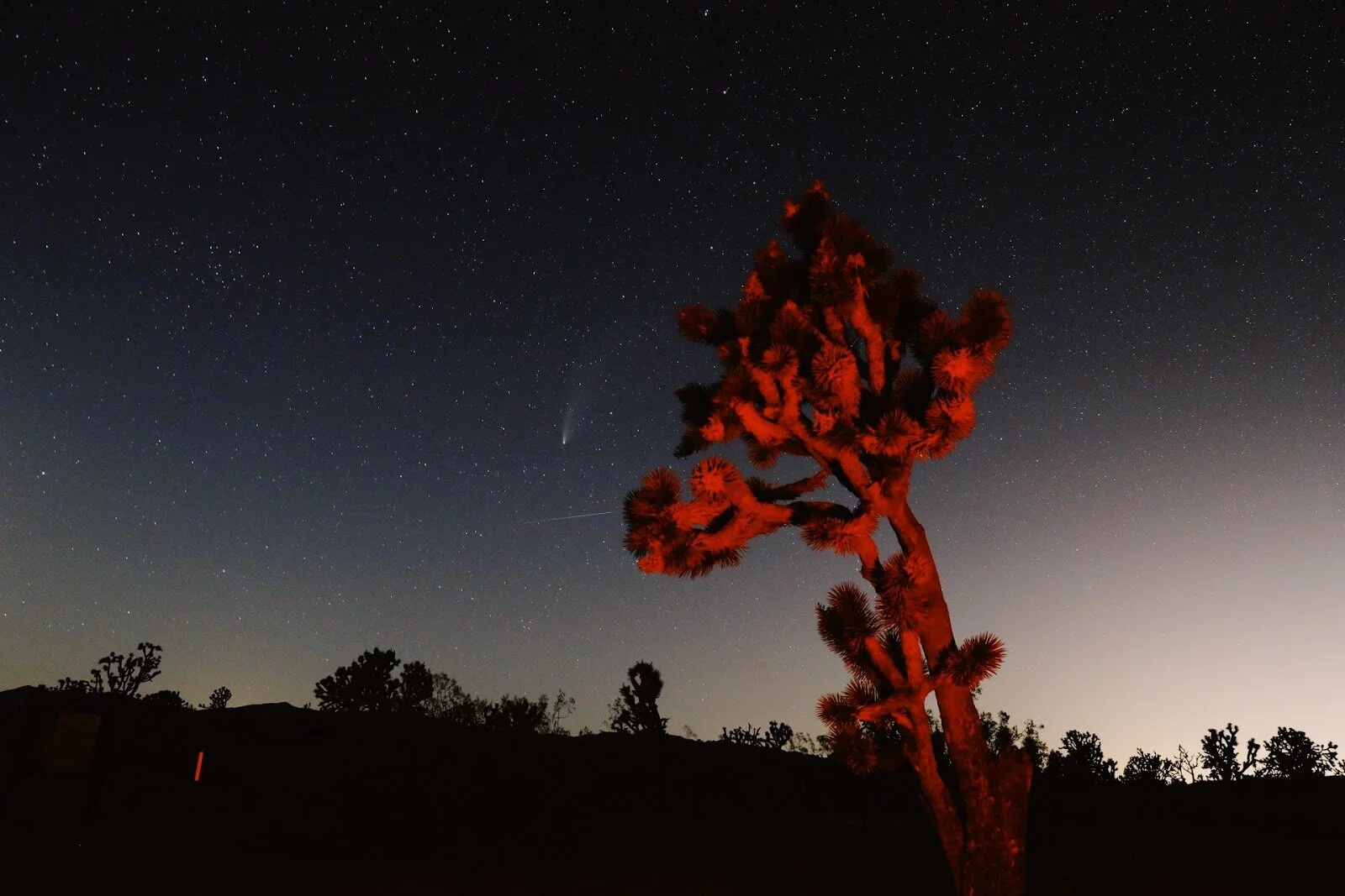 6,800 Years From Now