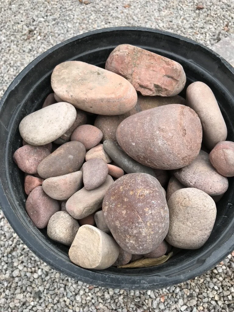 Seeking Joy and Pleasure in Moments of Upheaval