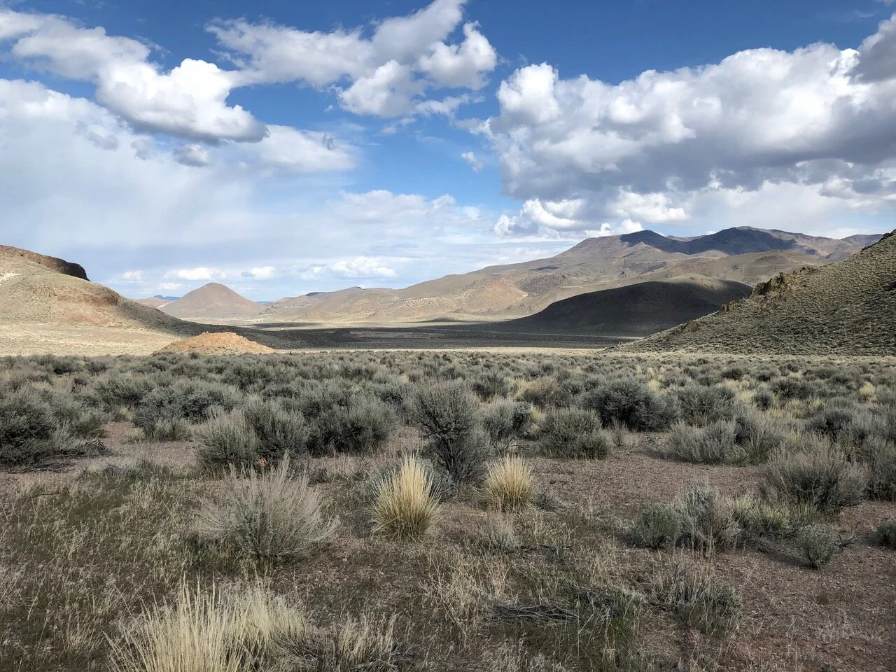 What the Humanities Mean to Me