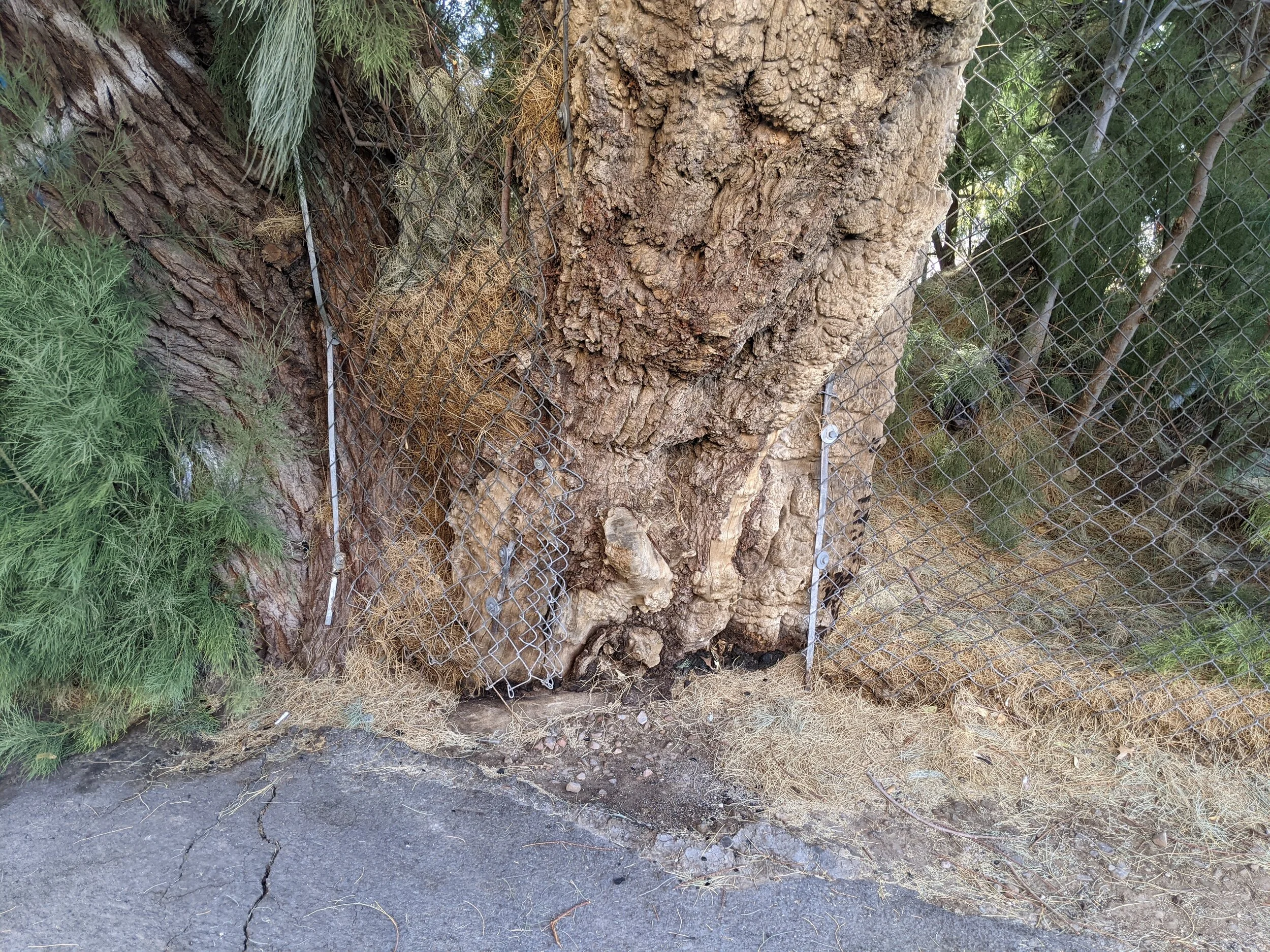 You Are Your World Existingly