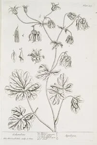 The Intimacy of Brevity: Praise for the Short Poem