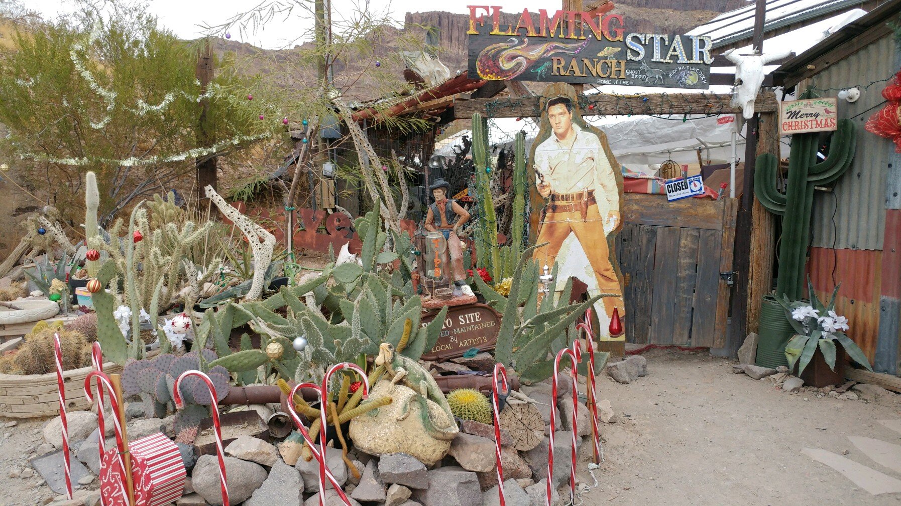 Christmas Cactus Garden with Elvis cutout