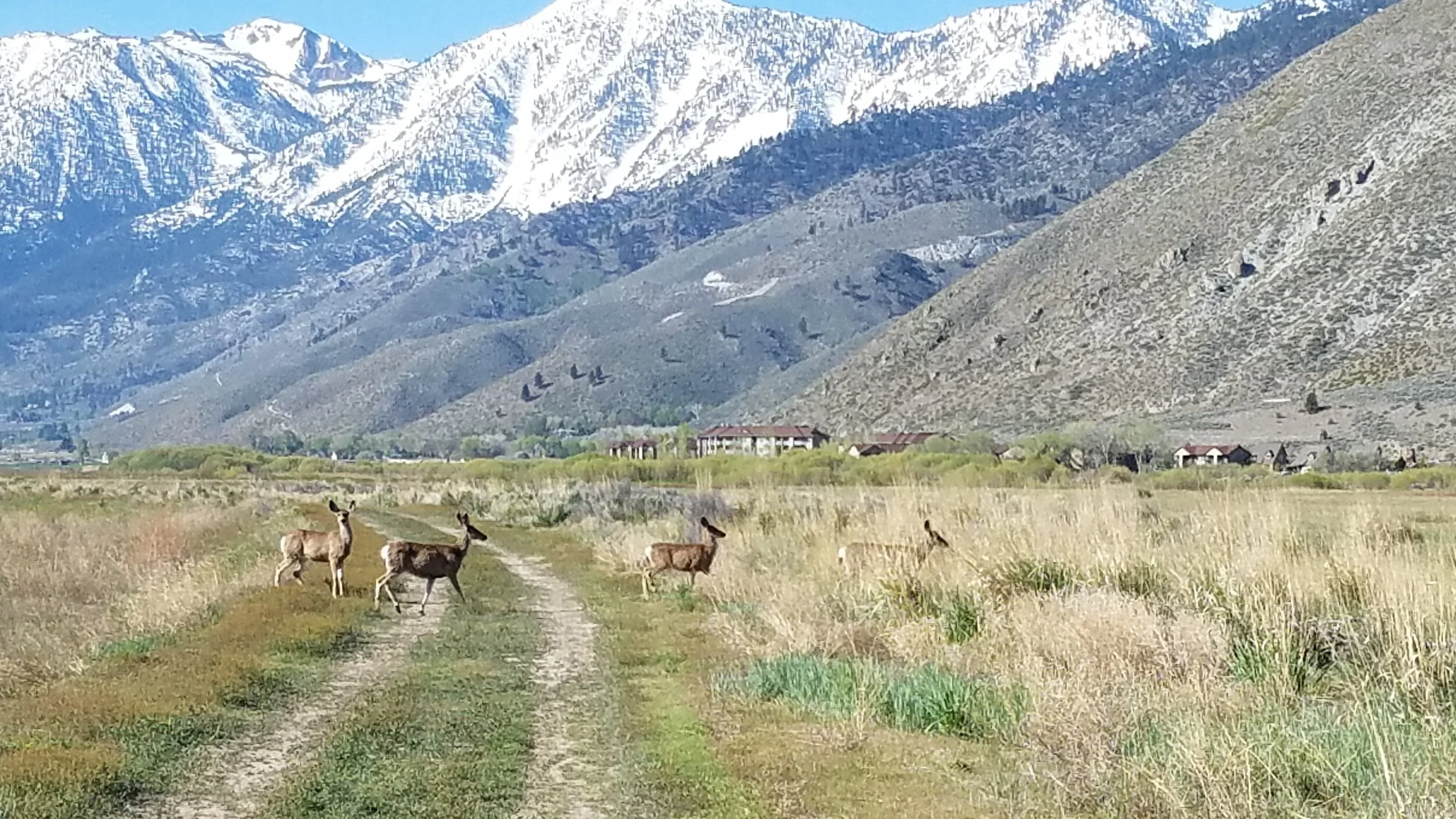 Discovering Nevada’s Great Outdoors