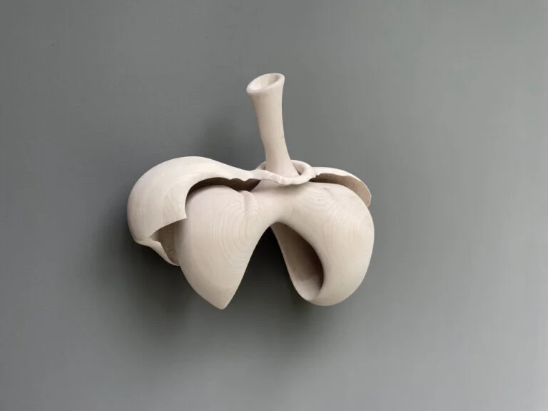 Capital City Arts Initiative—Callosum