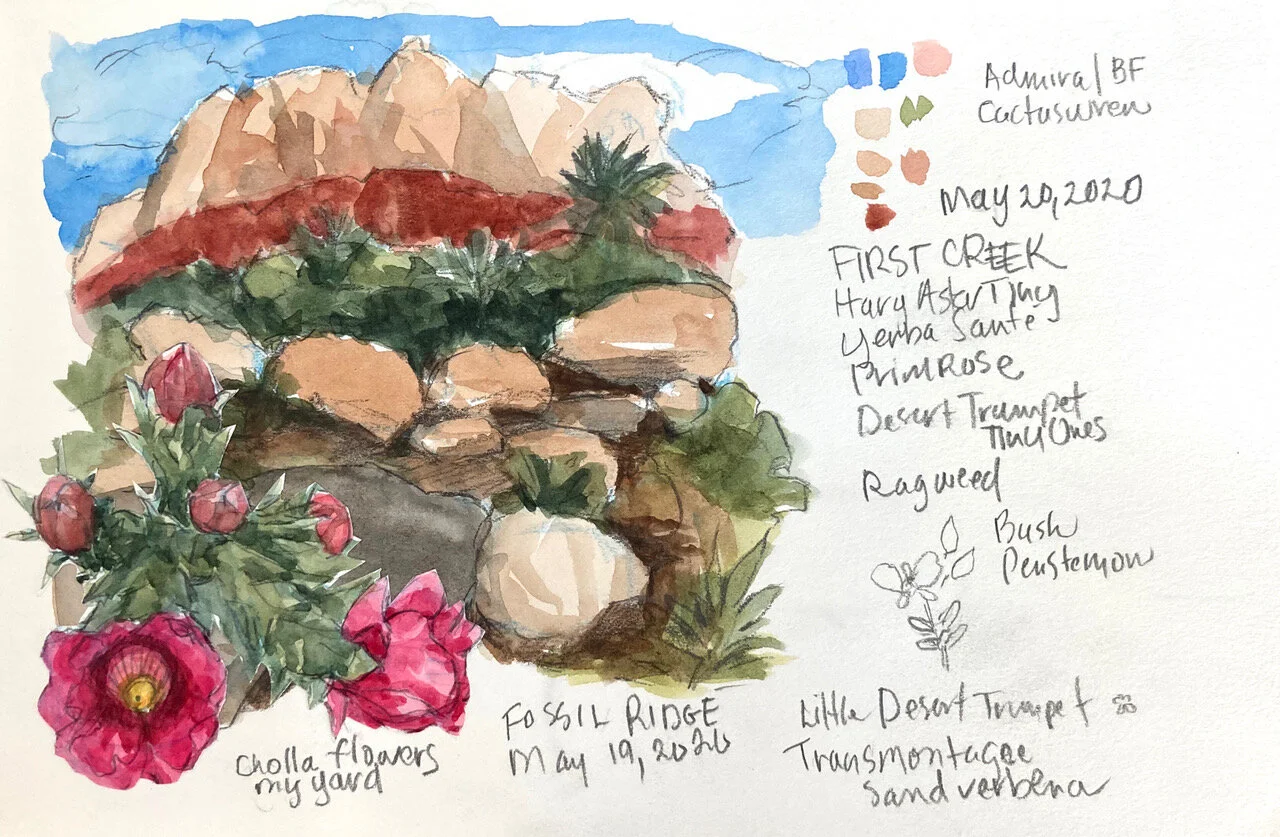 Wonders of Nature: Miniature Landscapes with Kristin Meuser