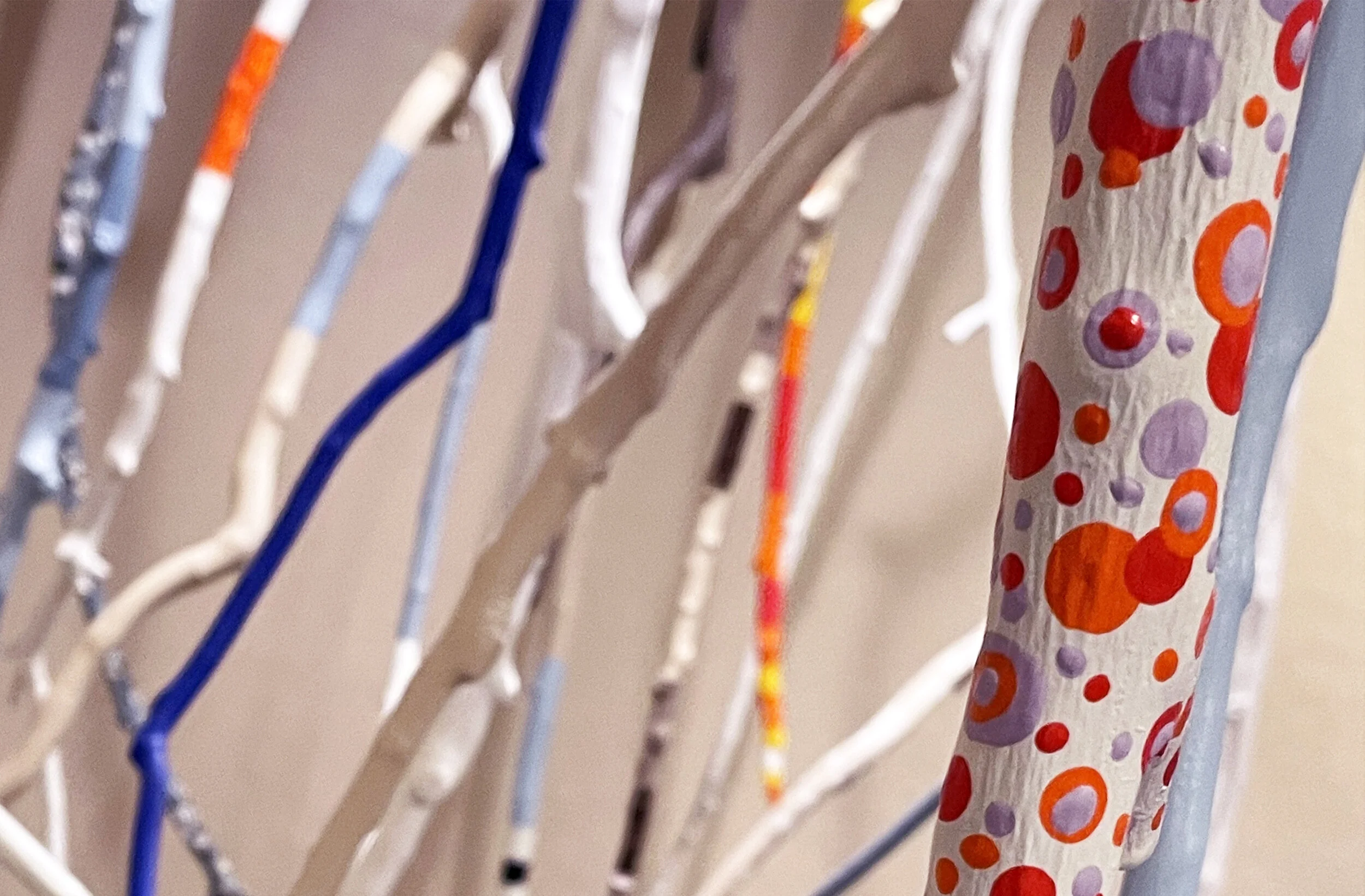 Wonders of Nature: Drawing on Nature with Jeff and Maria Fulmer