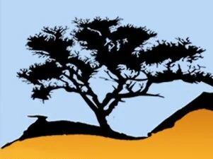 Virgin Valley Artists’ Association— Brown Bag Cultural Series