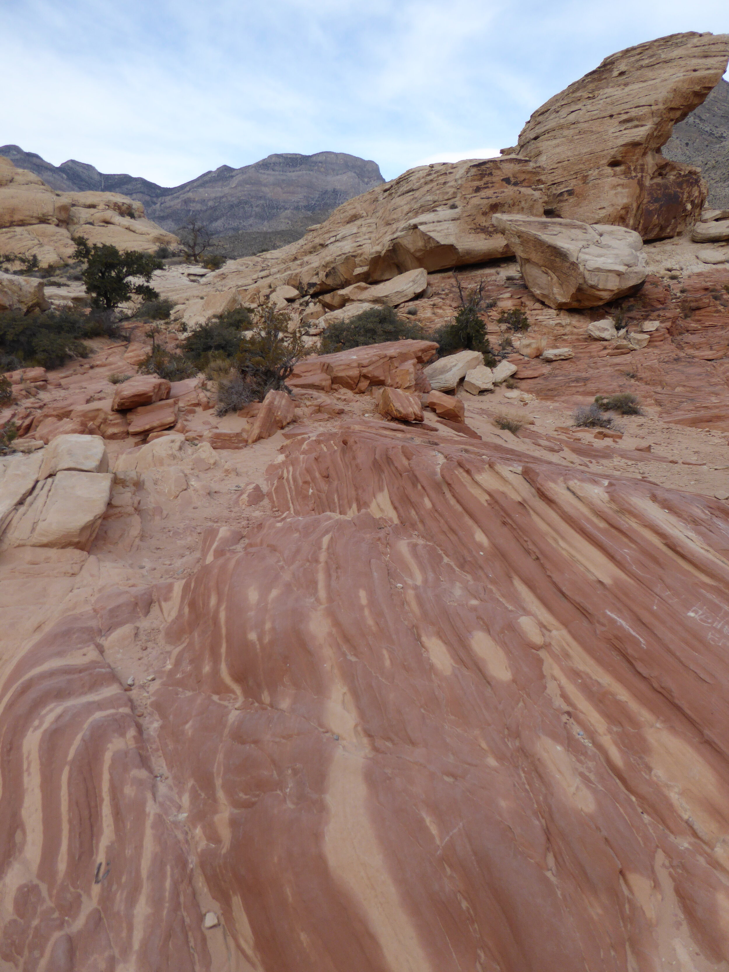 Keystone Thrust Trail
