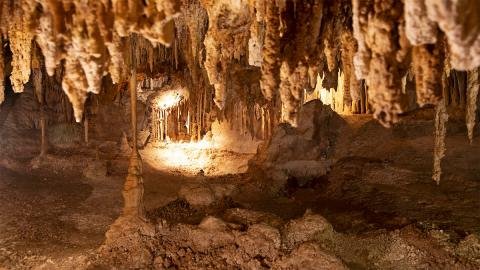 Great Basin National Park Foundation—Lehman Caves Centennial
