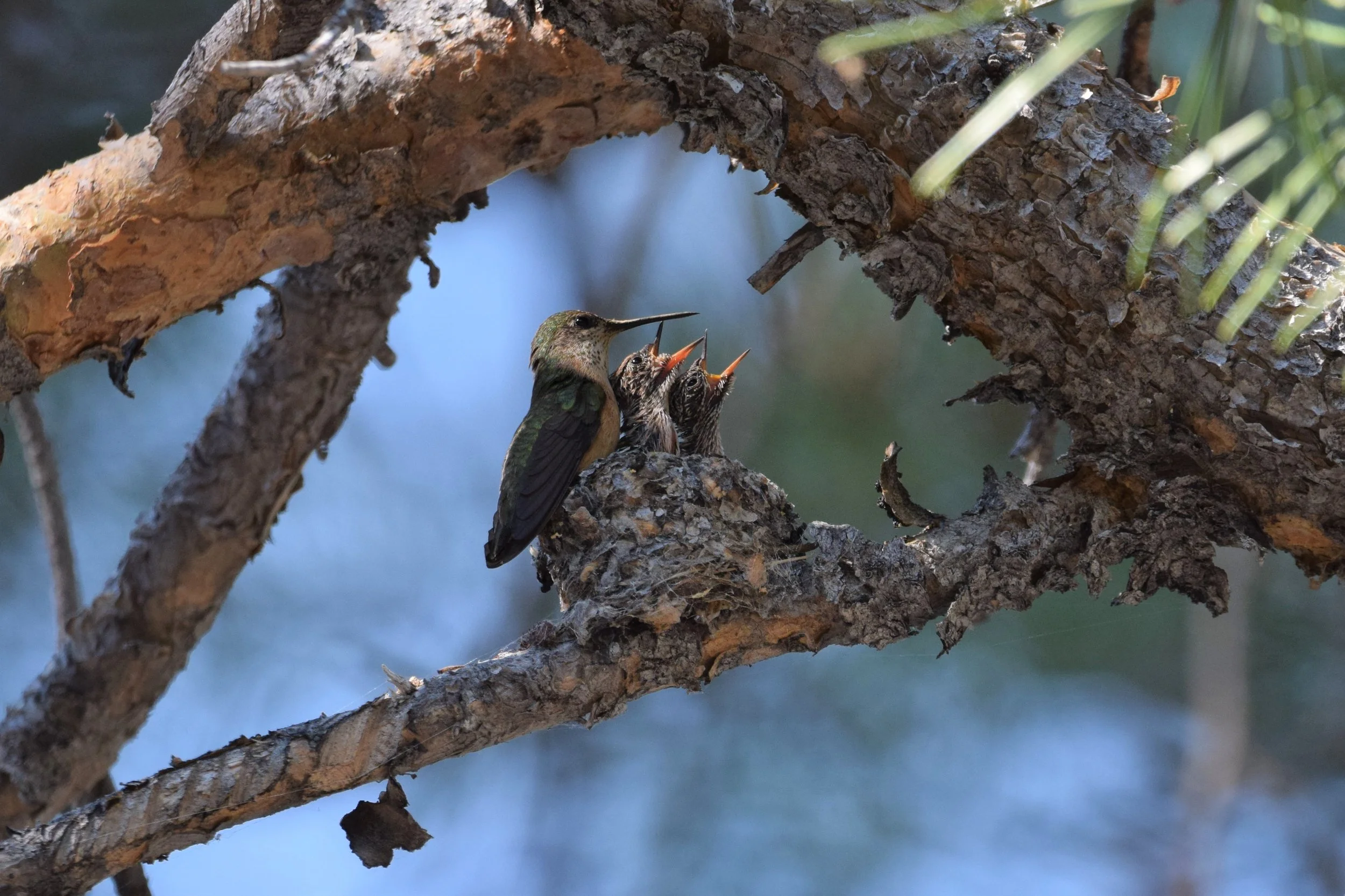  Photo by Ben Sonnenberg. 