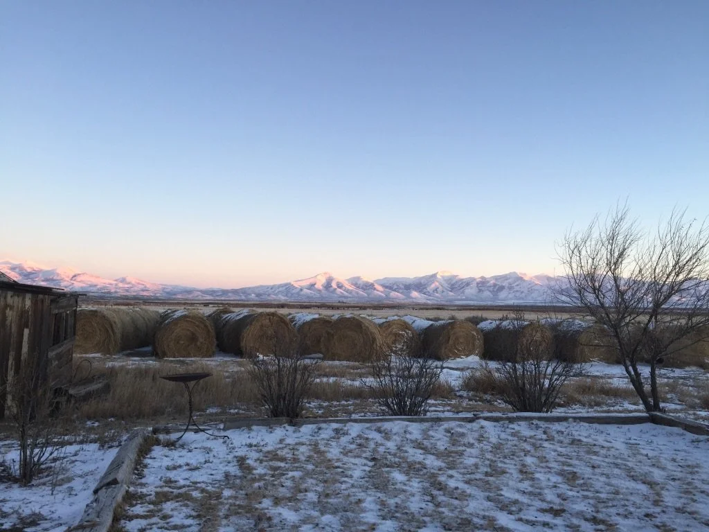 Emerging from Our Shells