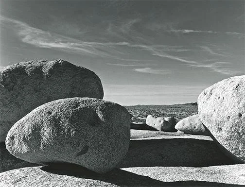 Capital City Arts Initiative—Michael Plyler: Selected Works