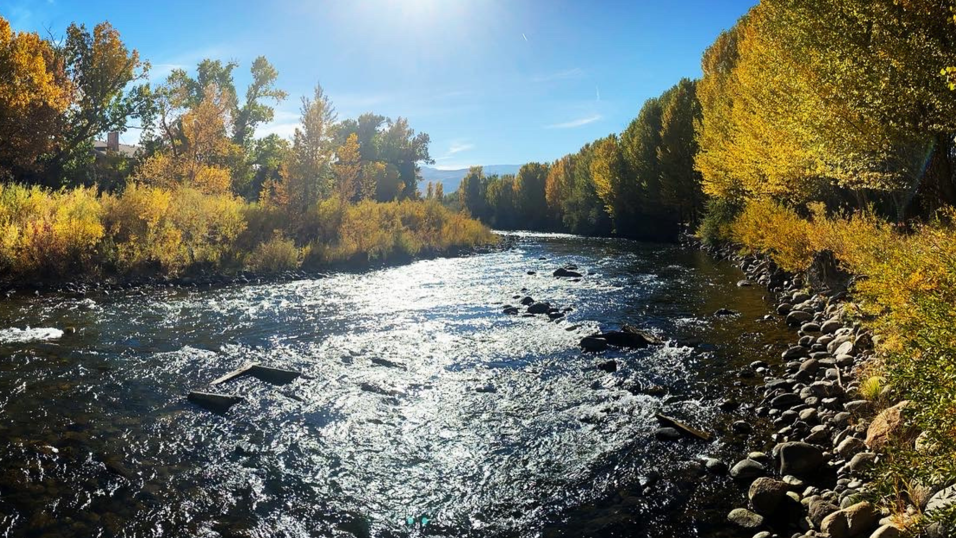 Hiring a full-time Assistant Director in Reno