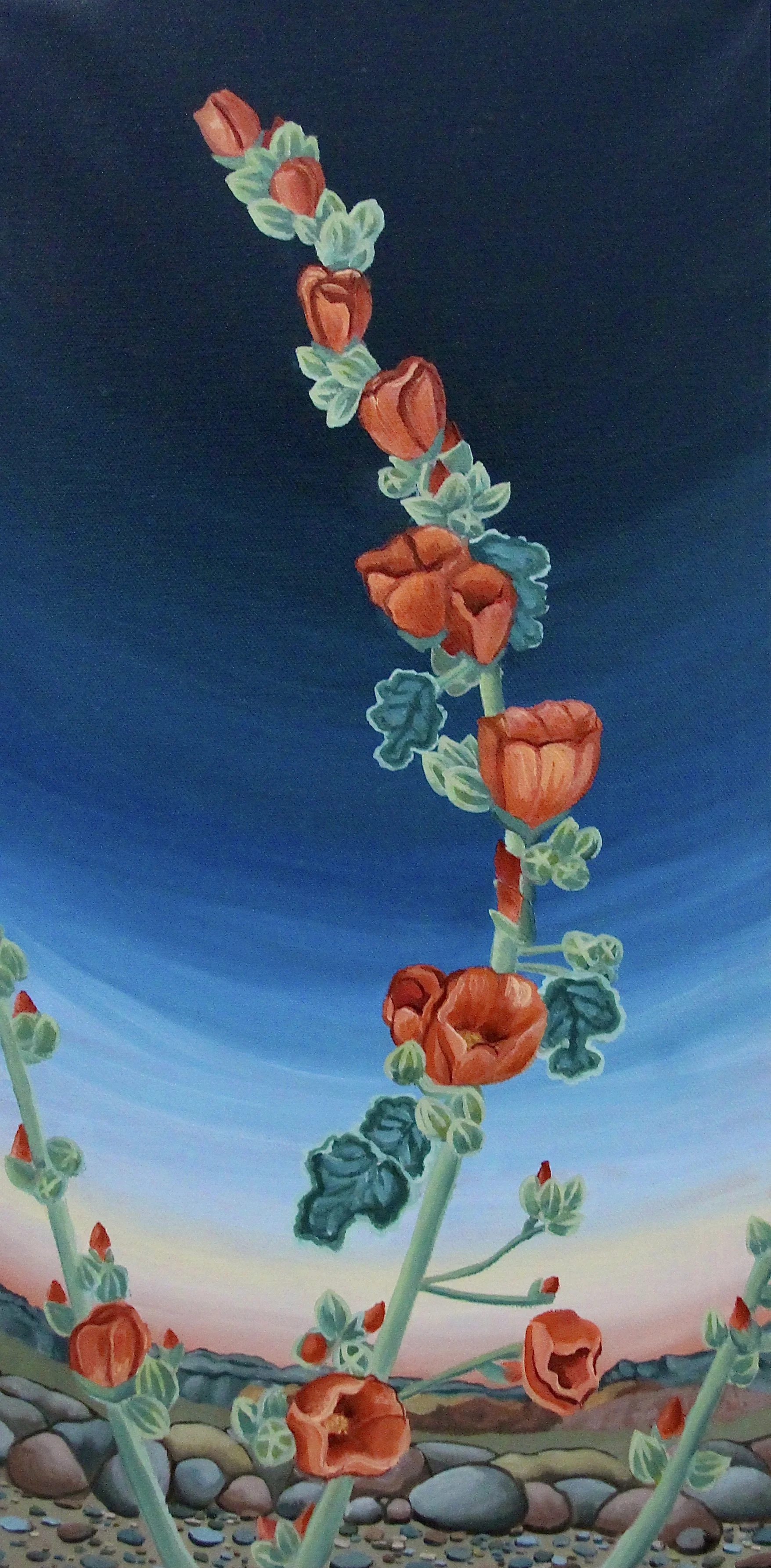 Alina Lindquist_DesertGlobeMallow.JPG
