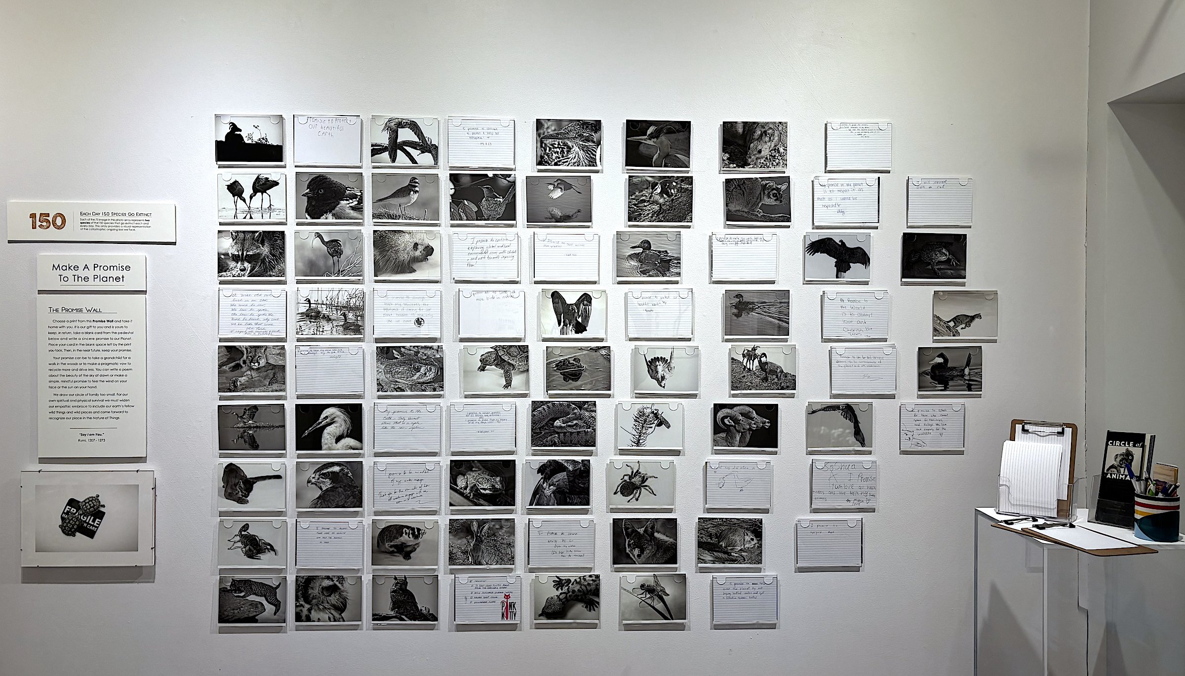 6_Schafer_Circle of Animal_Gallery View Promise Wall_1053.jpg