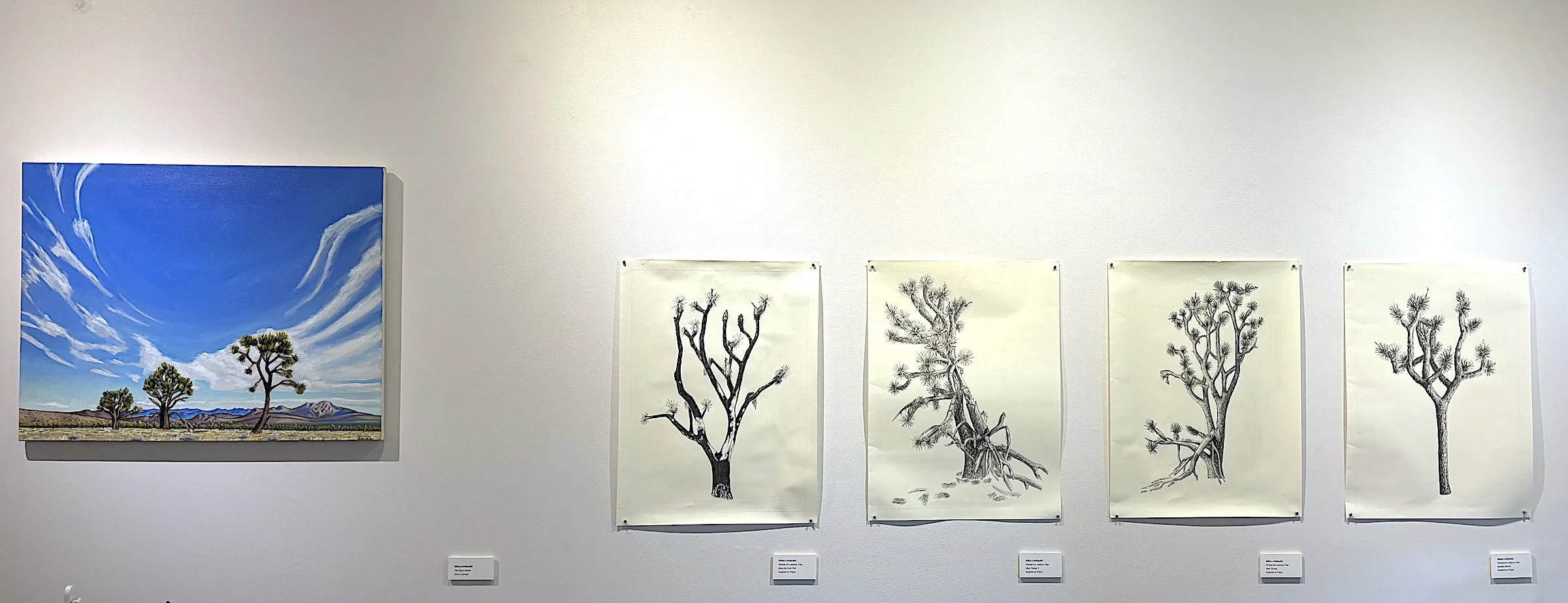 Gallery View_7_1775.jpeg