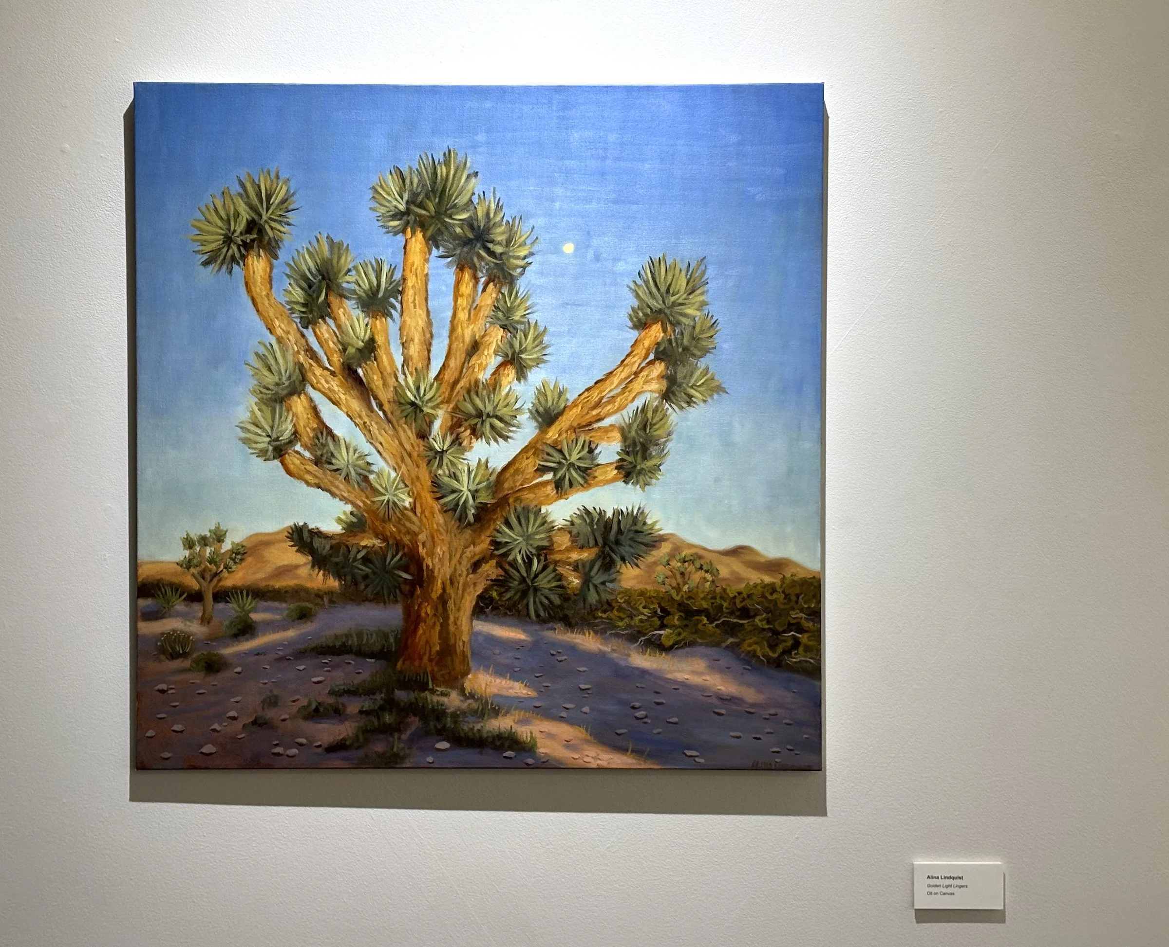 Gallery View_6_1897.jpg