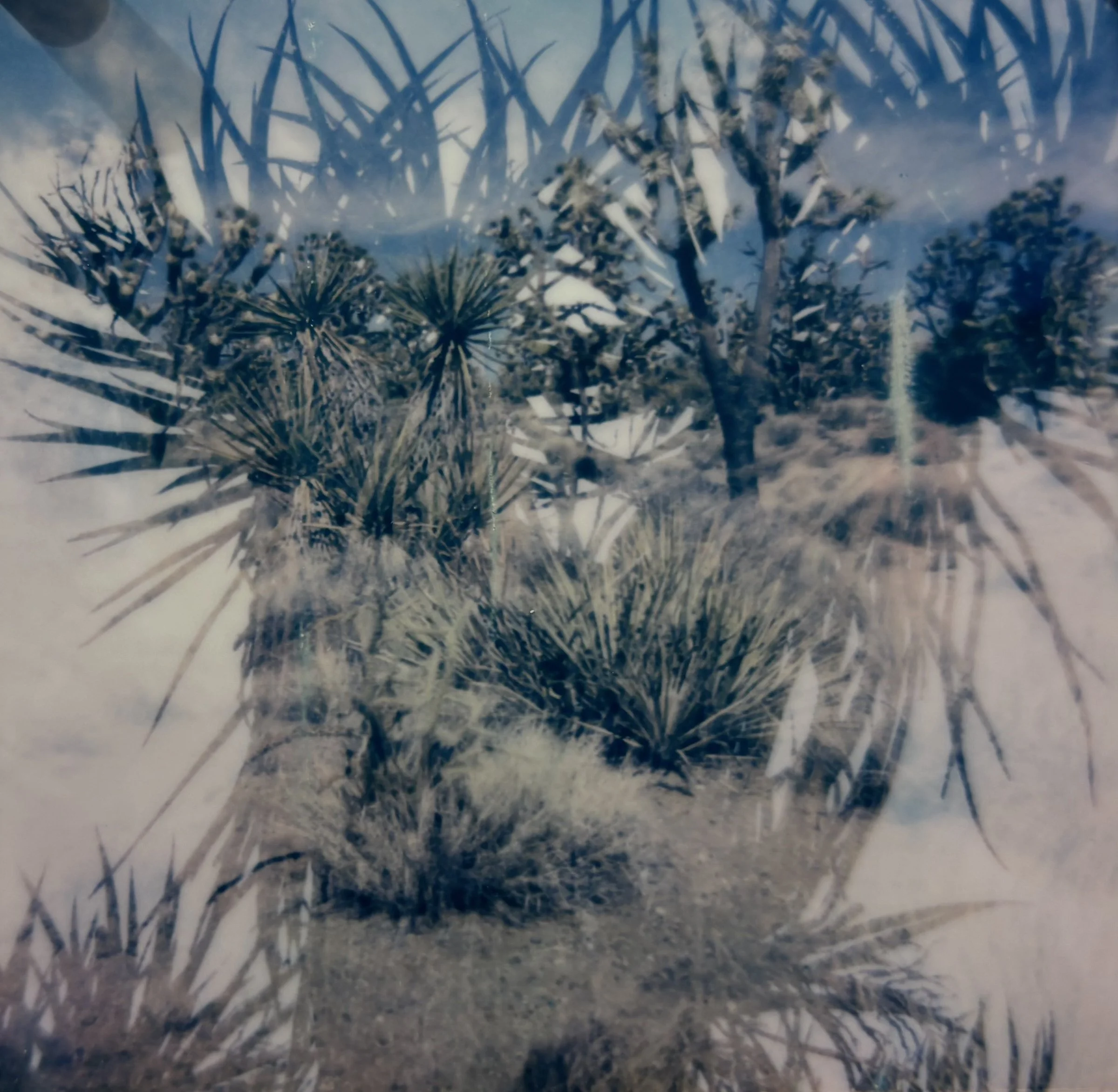 Memories of the Desert