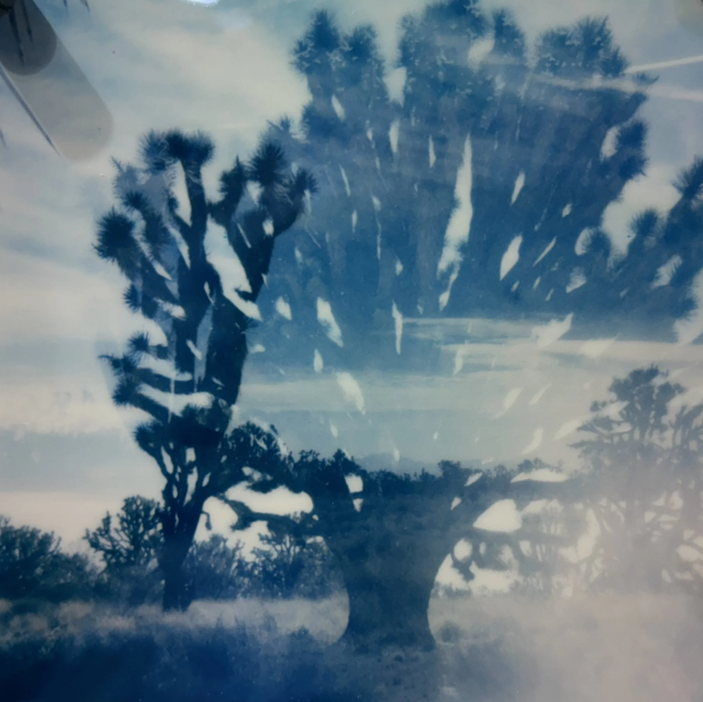 Memories of the Desert