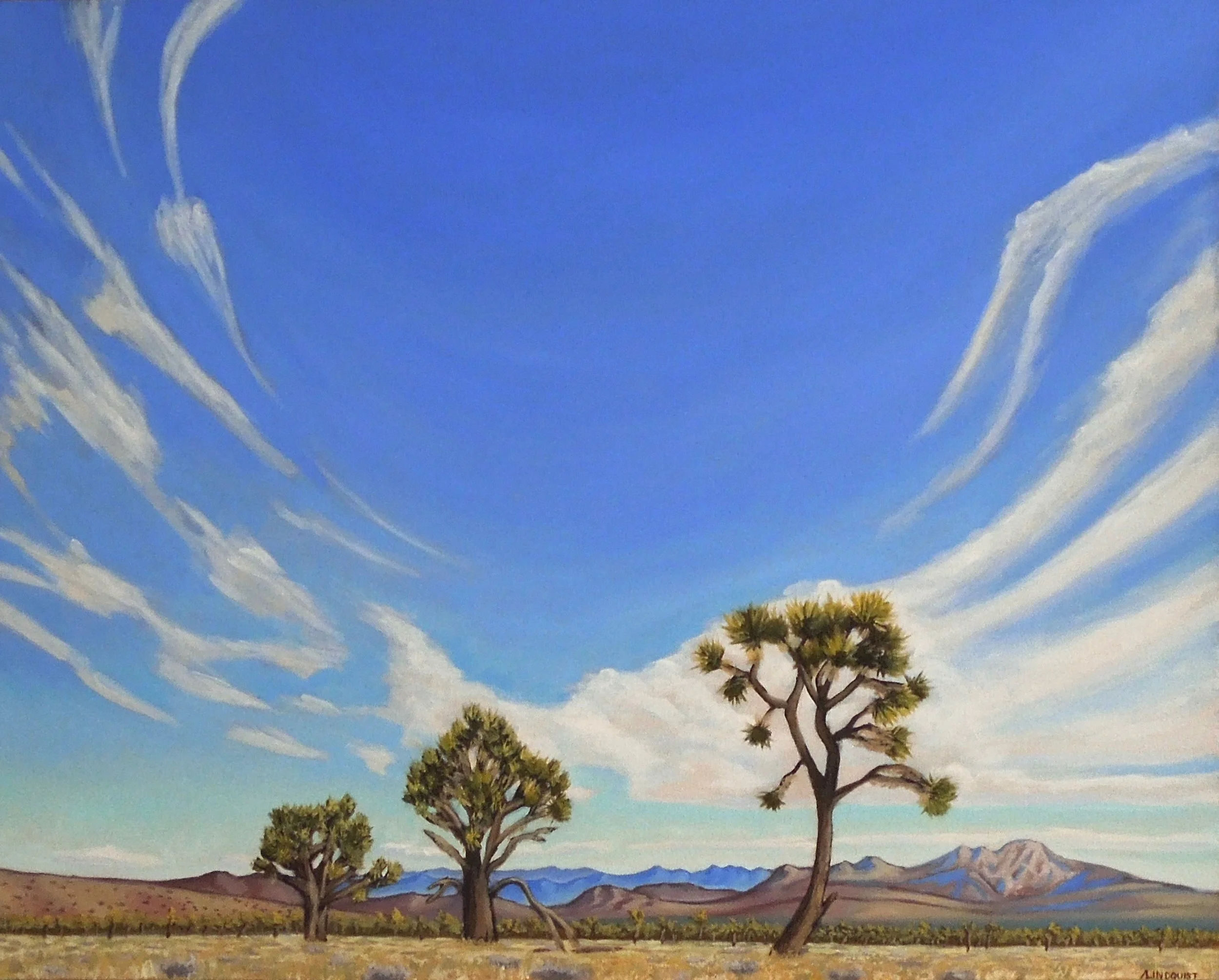 The Sky's Dance