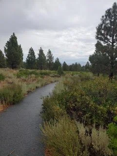Footsteps into Story: How Travel and Hiking Inspire Writing