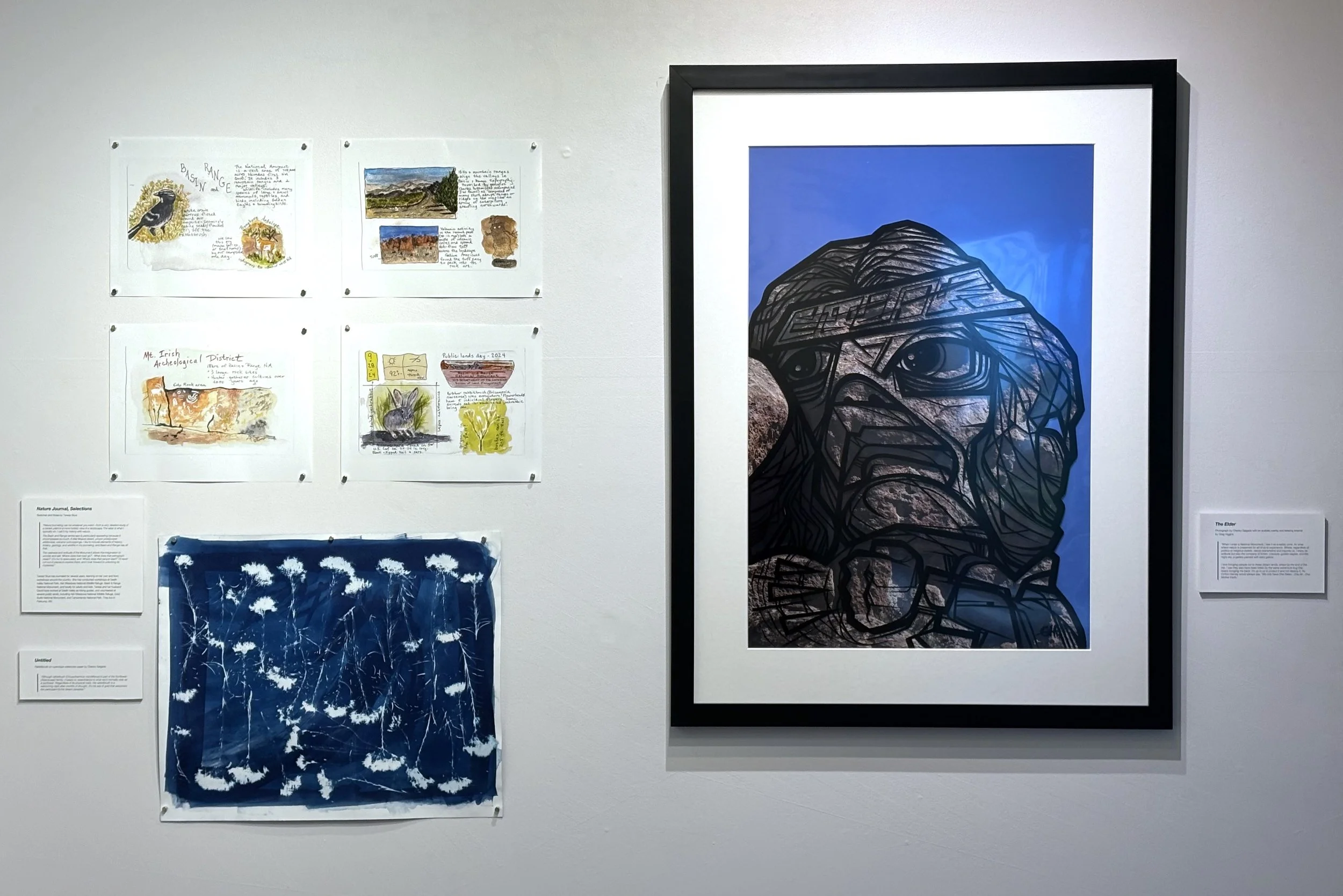 6_At the Heart of Nevada_Gallery View_South_2603.jpg